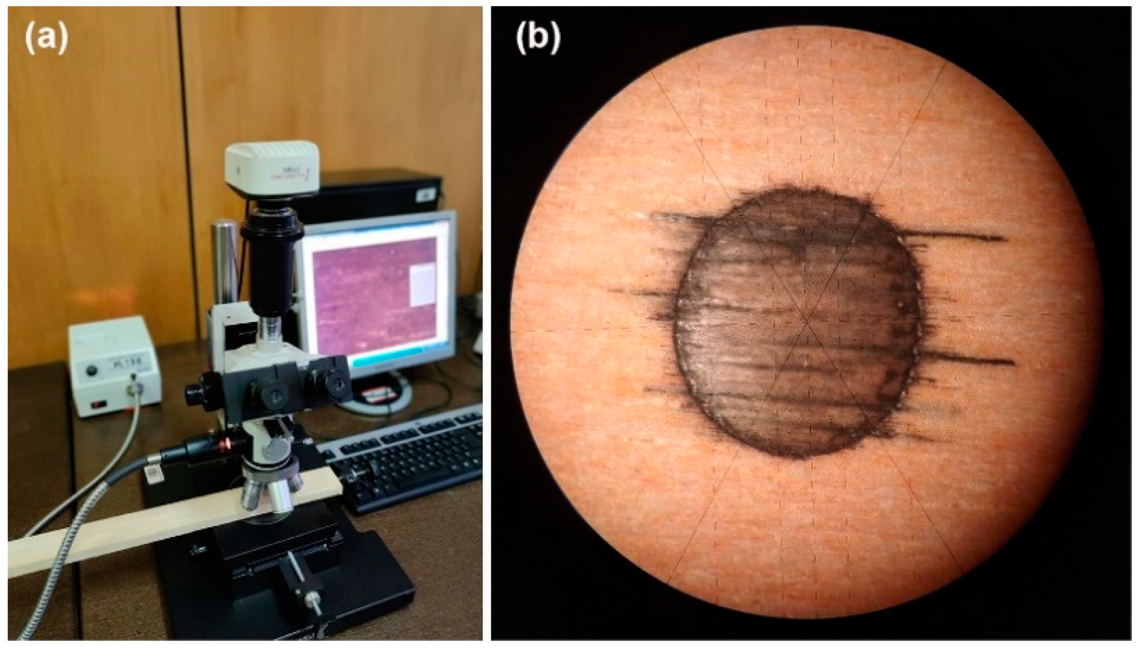Applsci 12 05575 g004