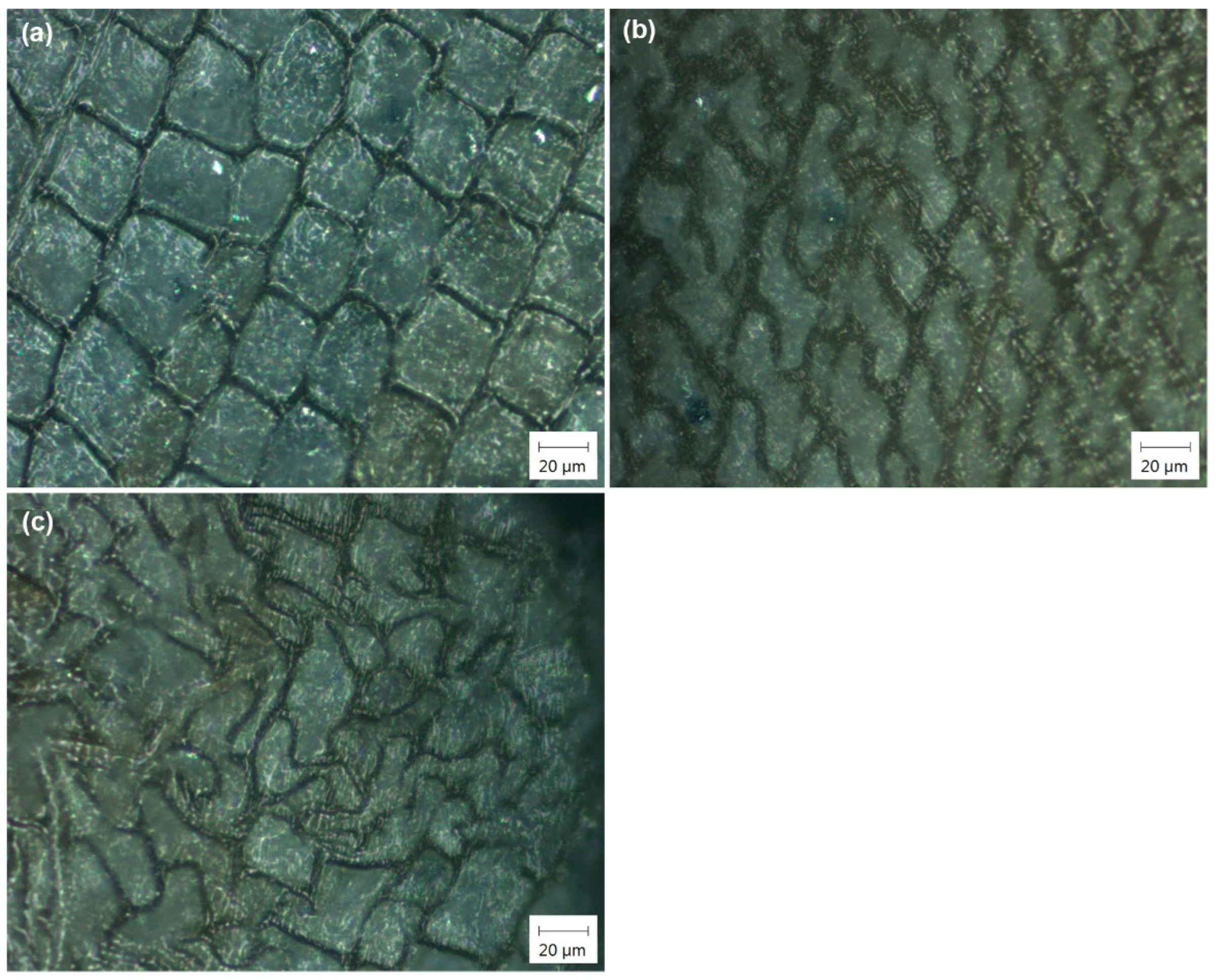 Applsci 12 05575 g008