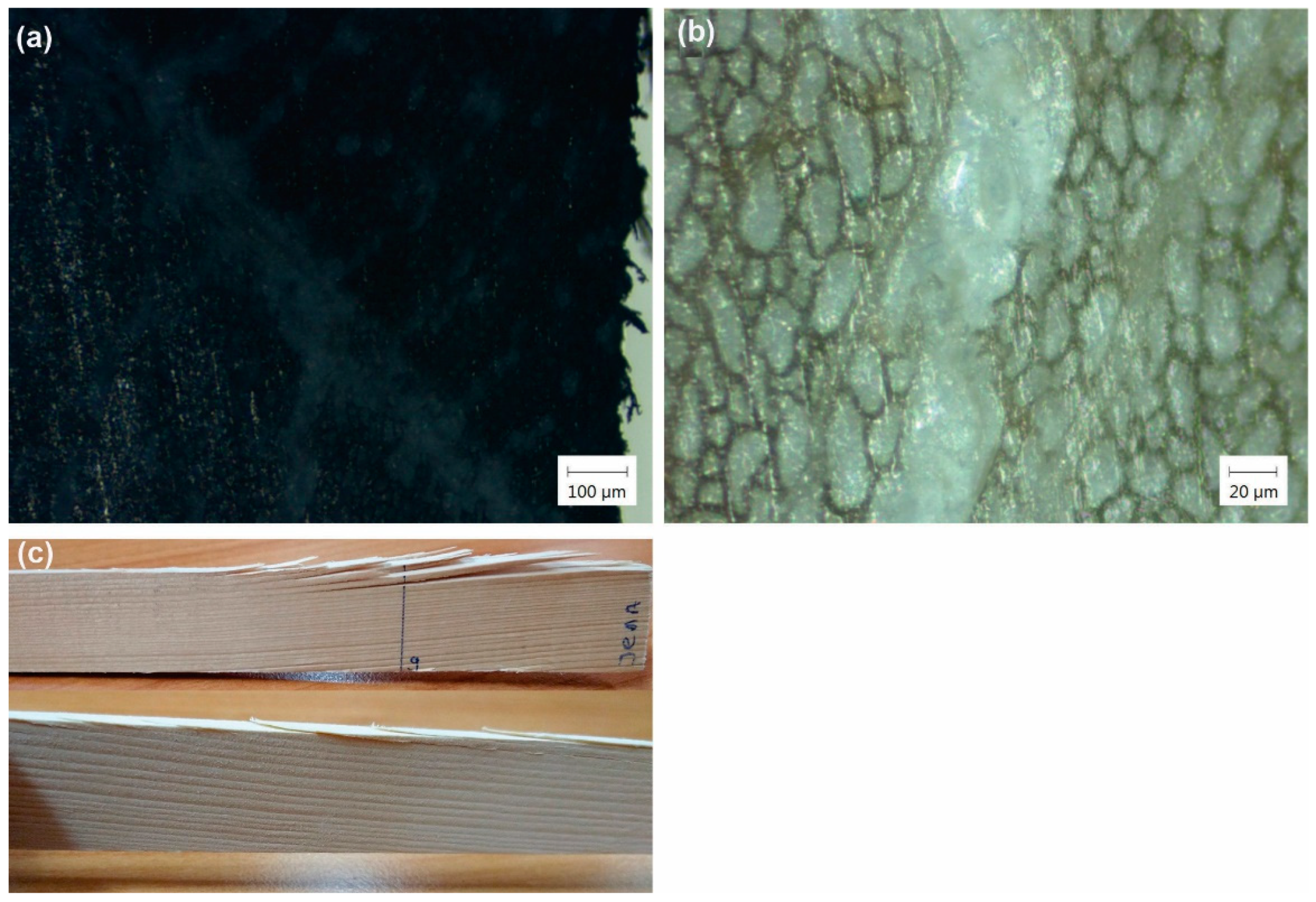 Applsci 12 05575 g010