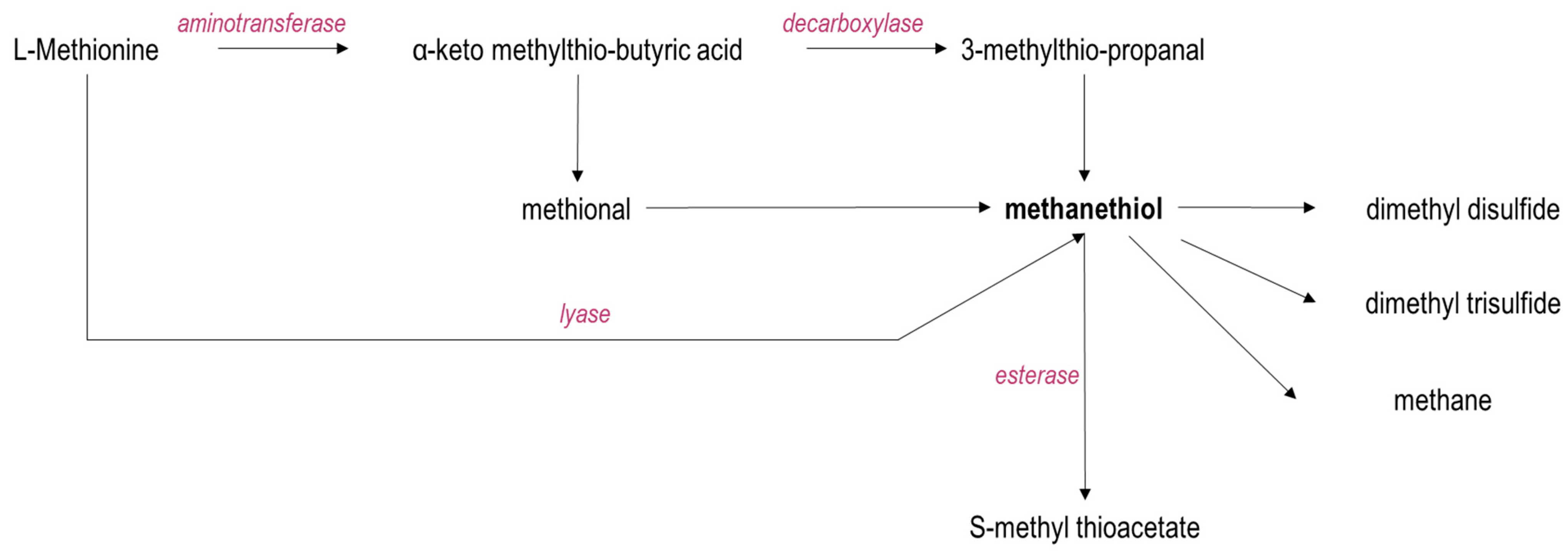 Applsci 12 05598 g003