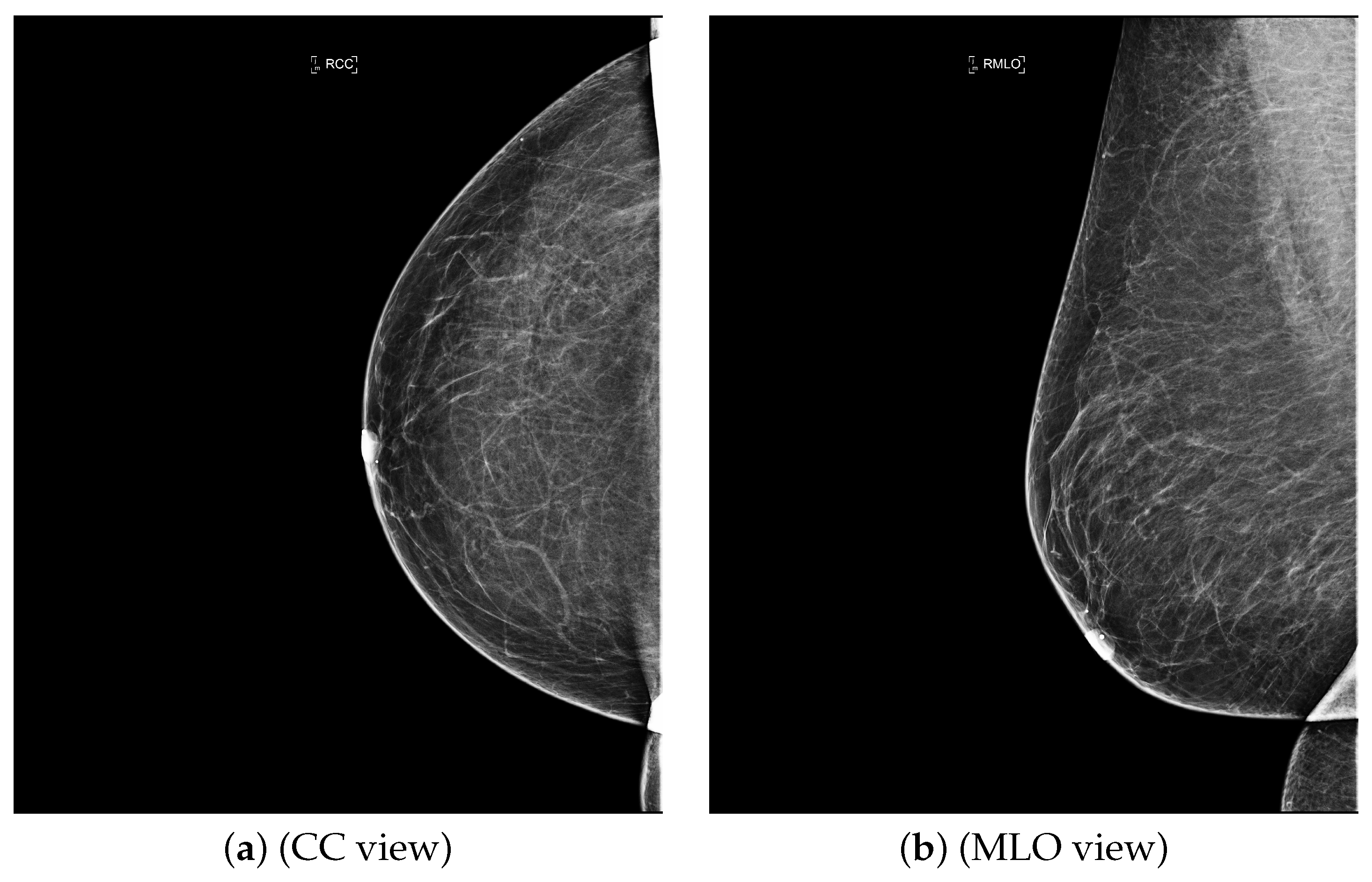 Applsci 12 05599 g001