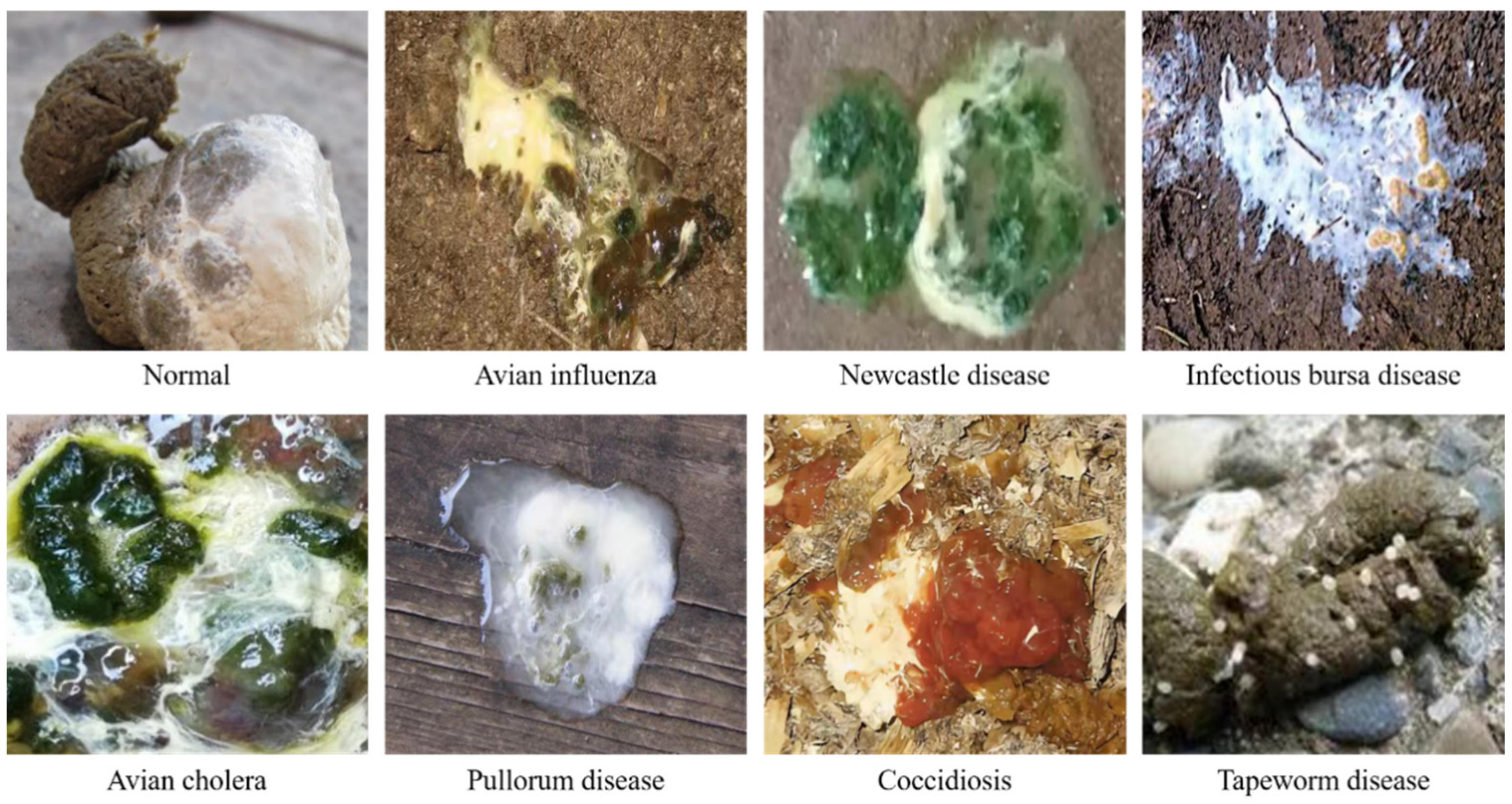 Applsci 12 05601 g004 550