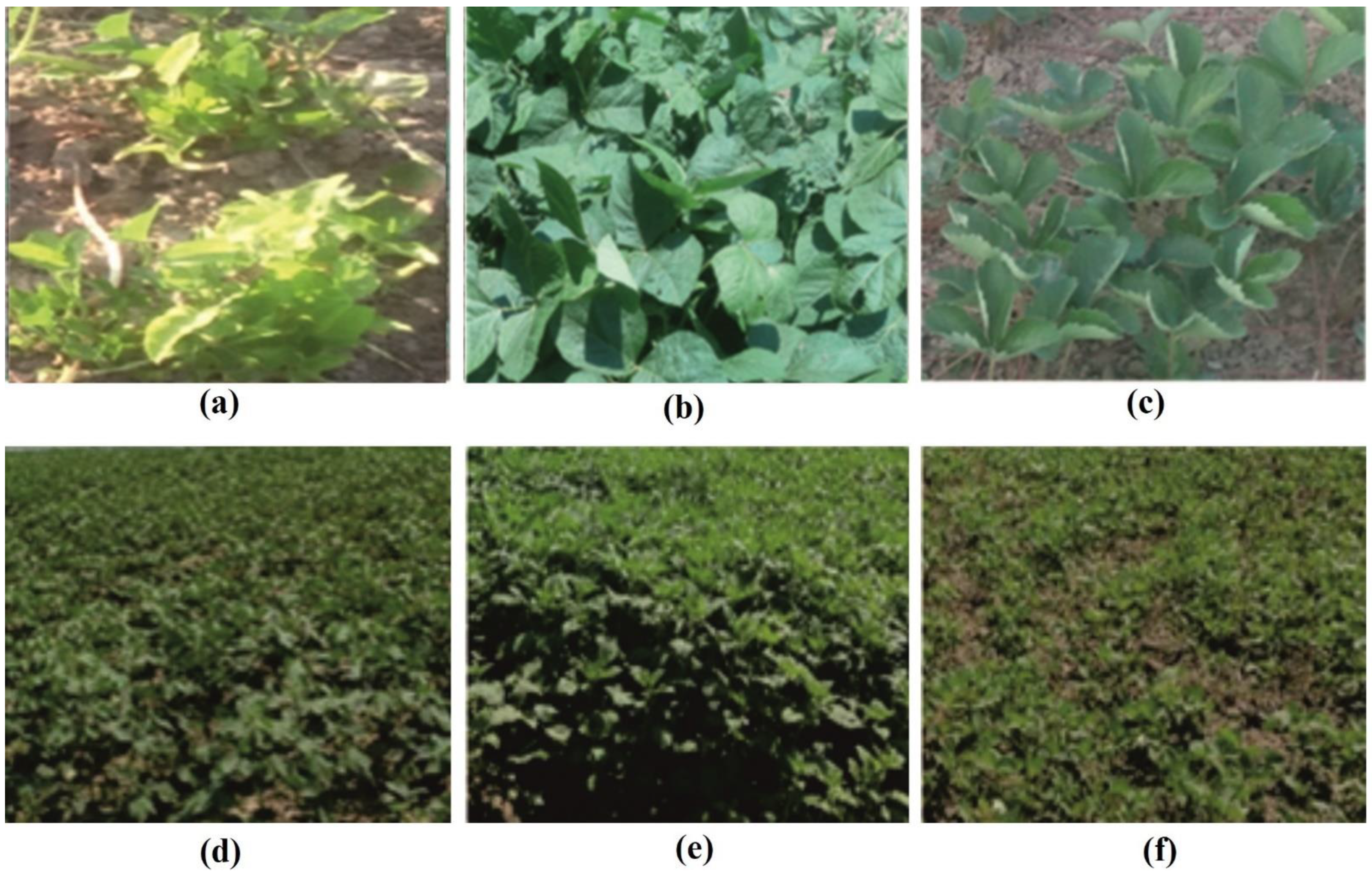 Applsci 12 05650 g002 550