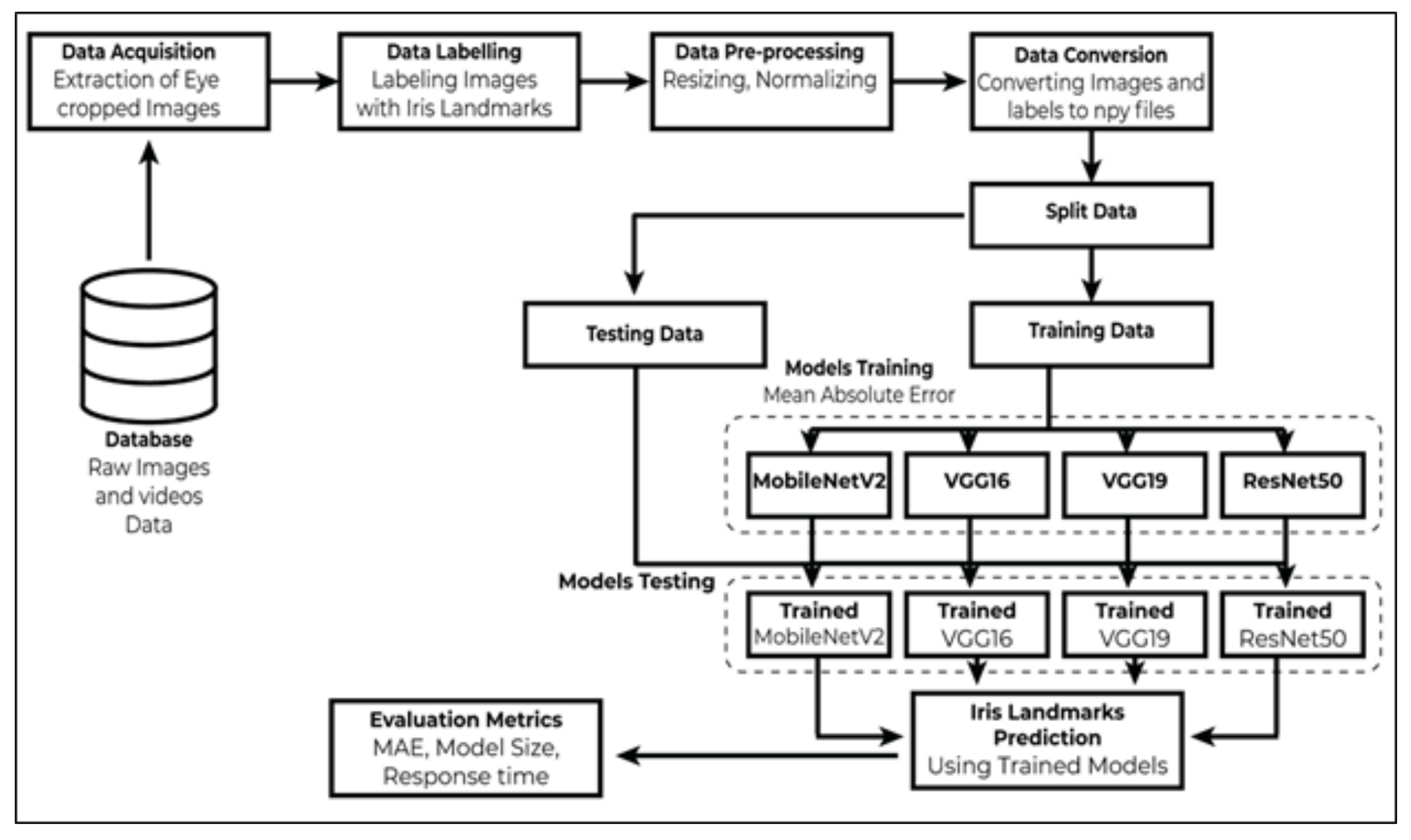 A Robust Framework for Real-Time Iris Landmarks Detection Using Deep ...