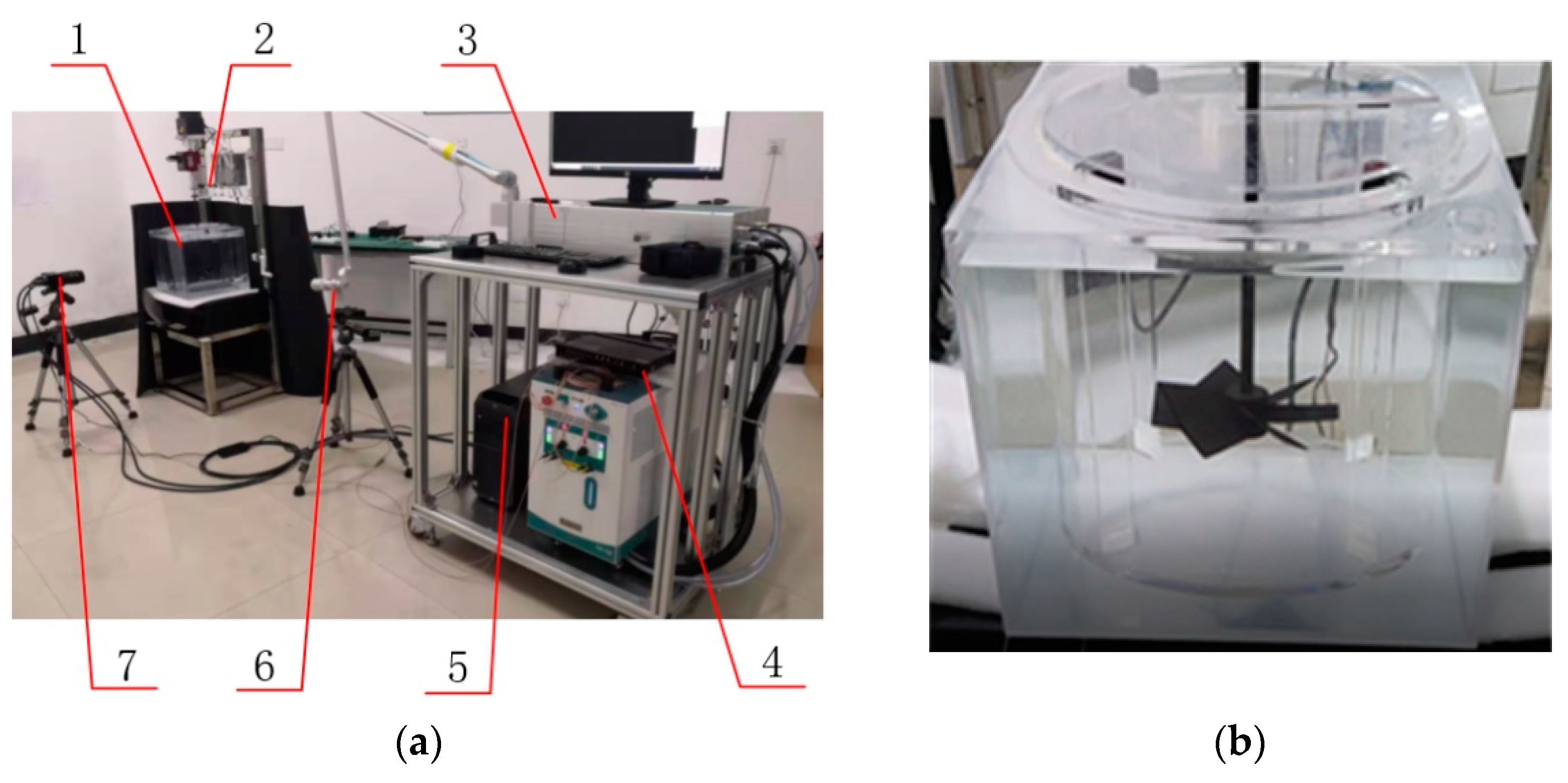 Applsci 12 05743 g004 550