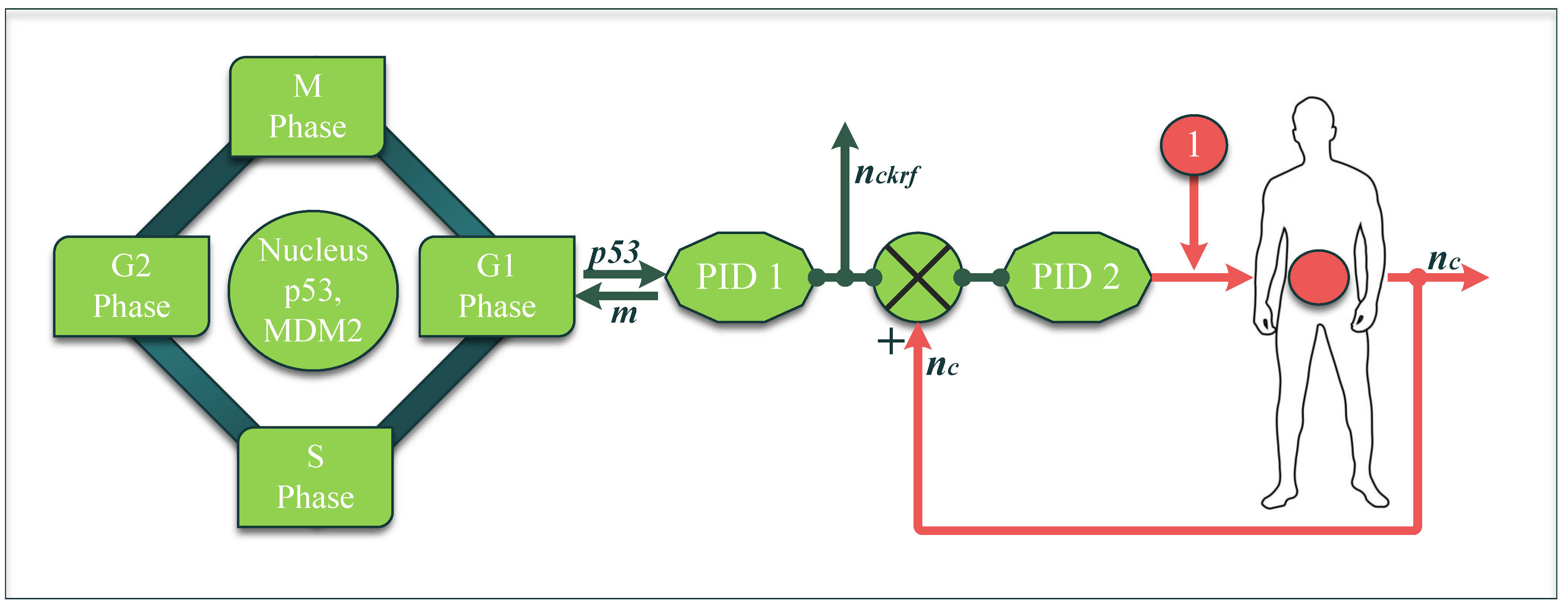 Applsci 12 05748 g001 550