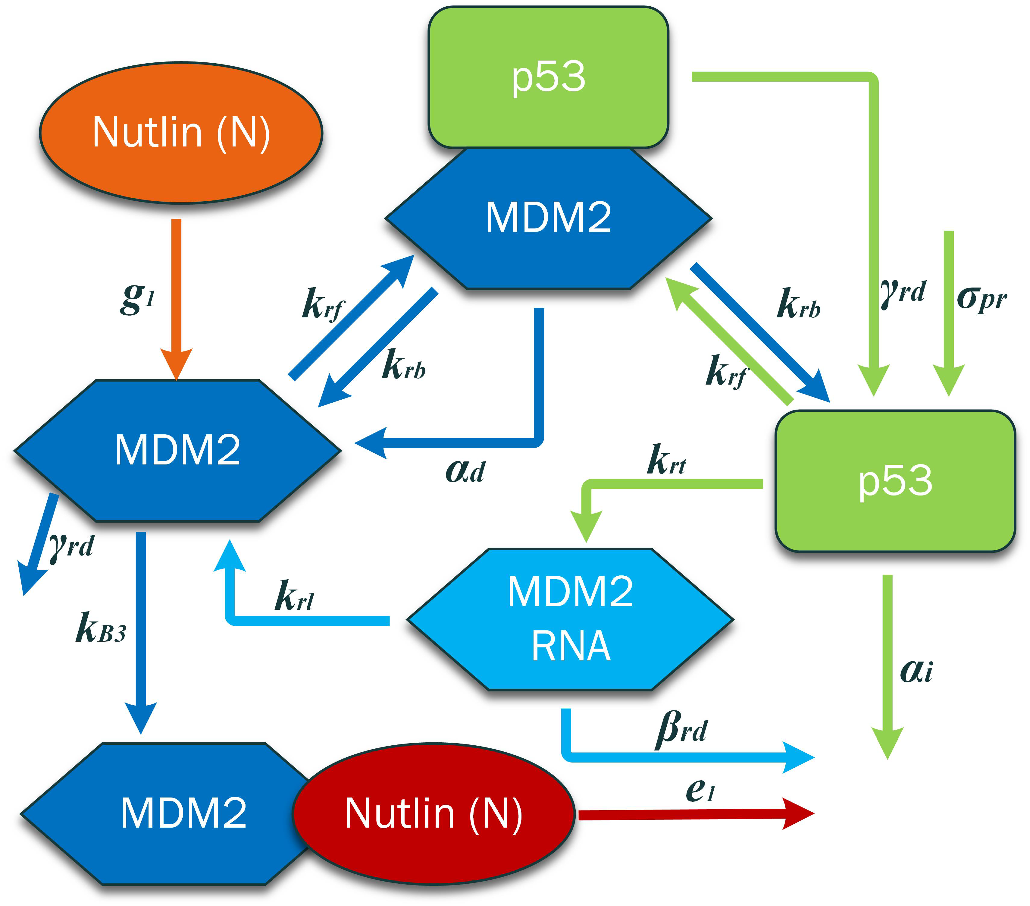 Applsci 12 05748 g002 550