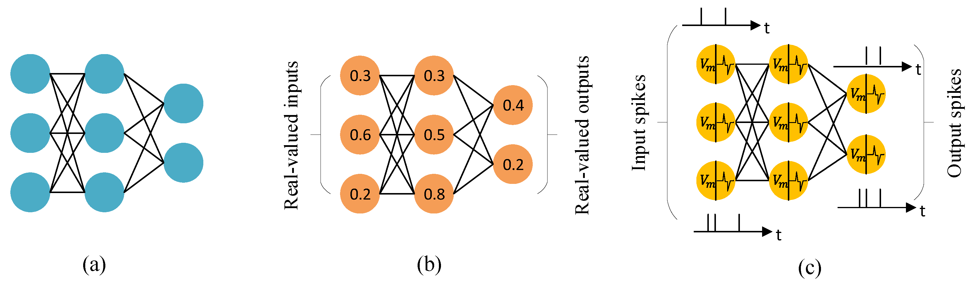 Spiking convolutional neural best sale network