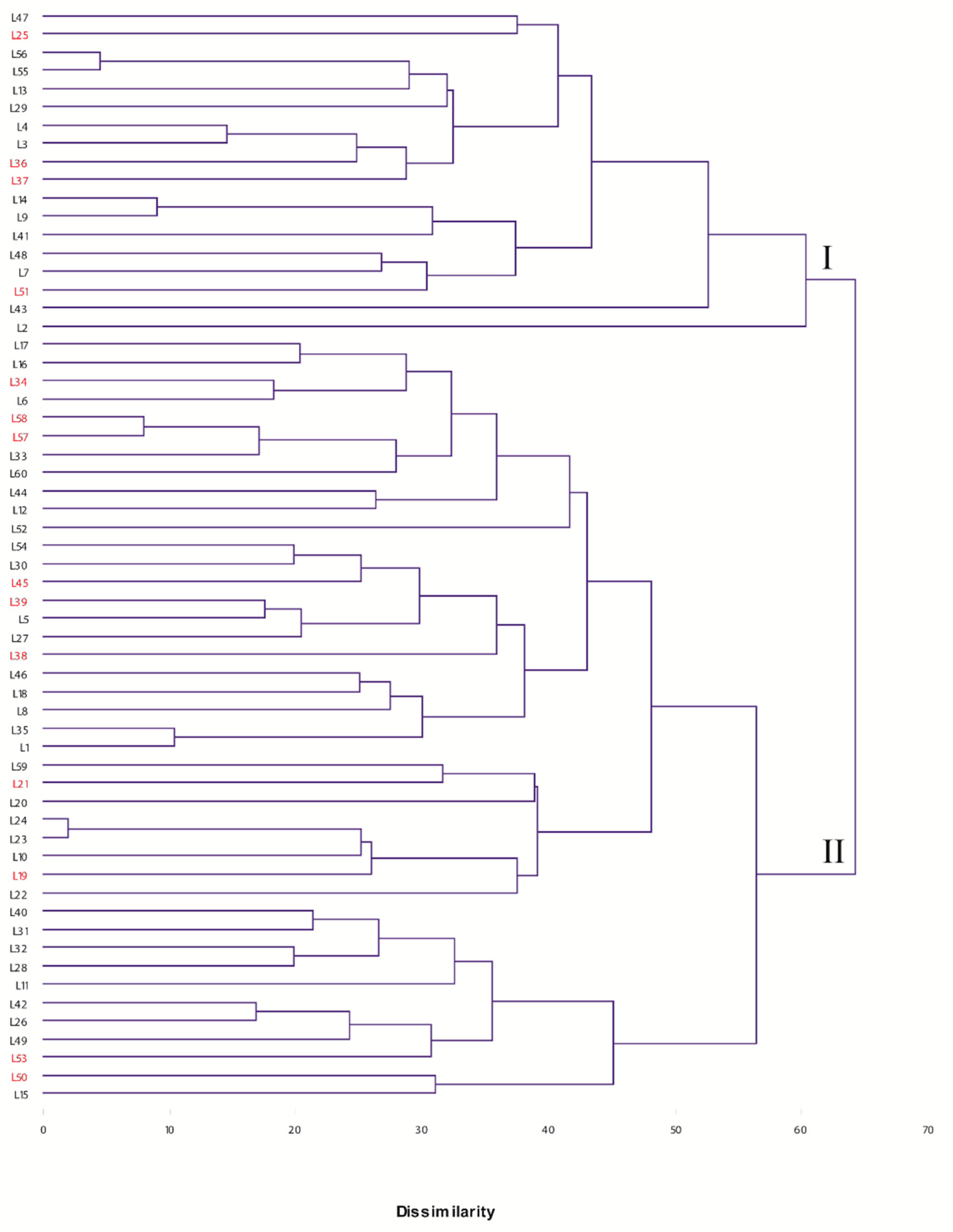 Applsci 12 05751 g001