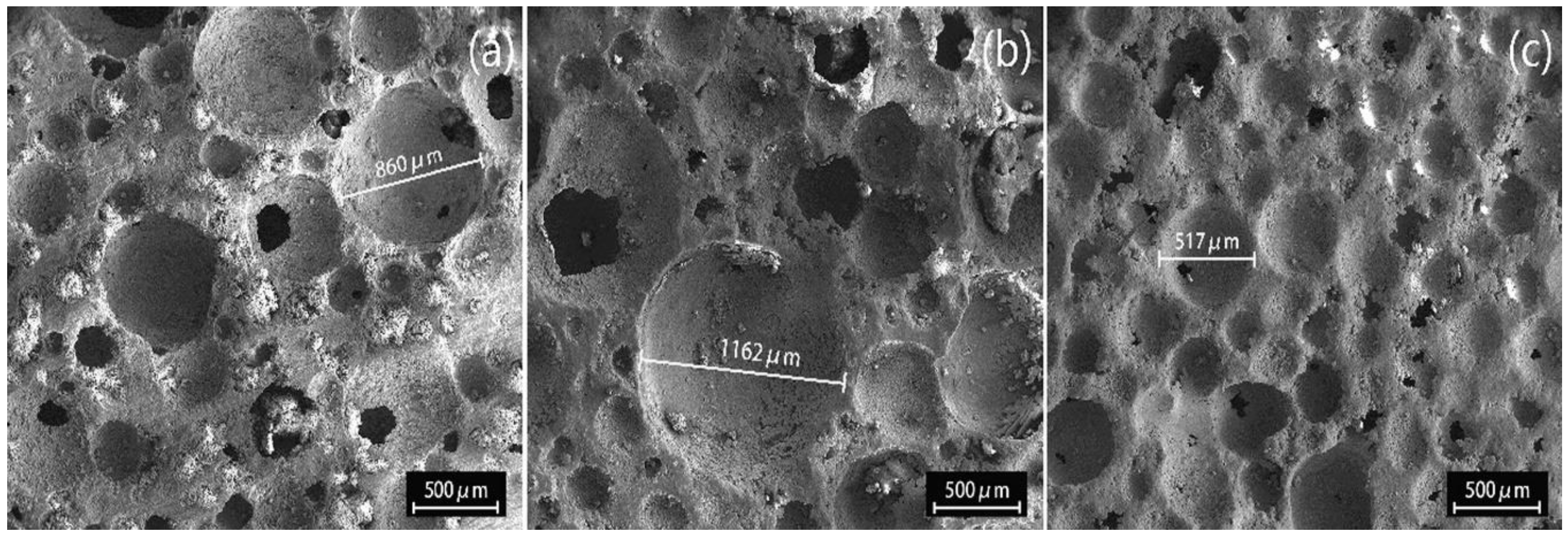 Applsci 12 05752 g009 550