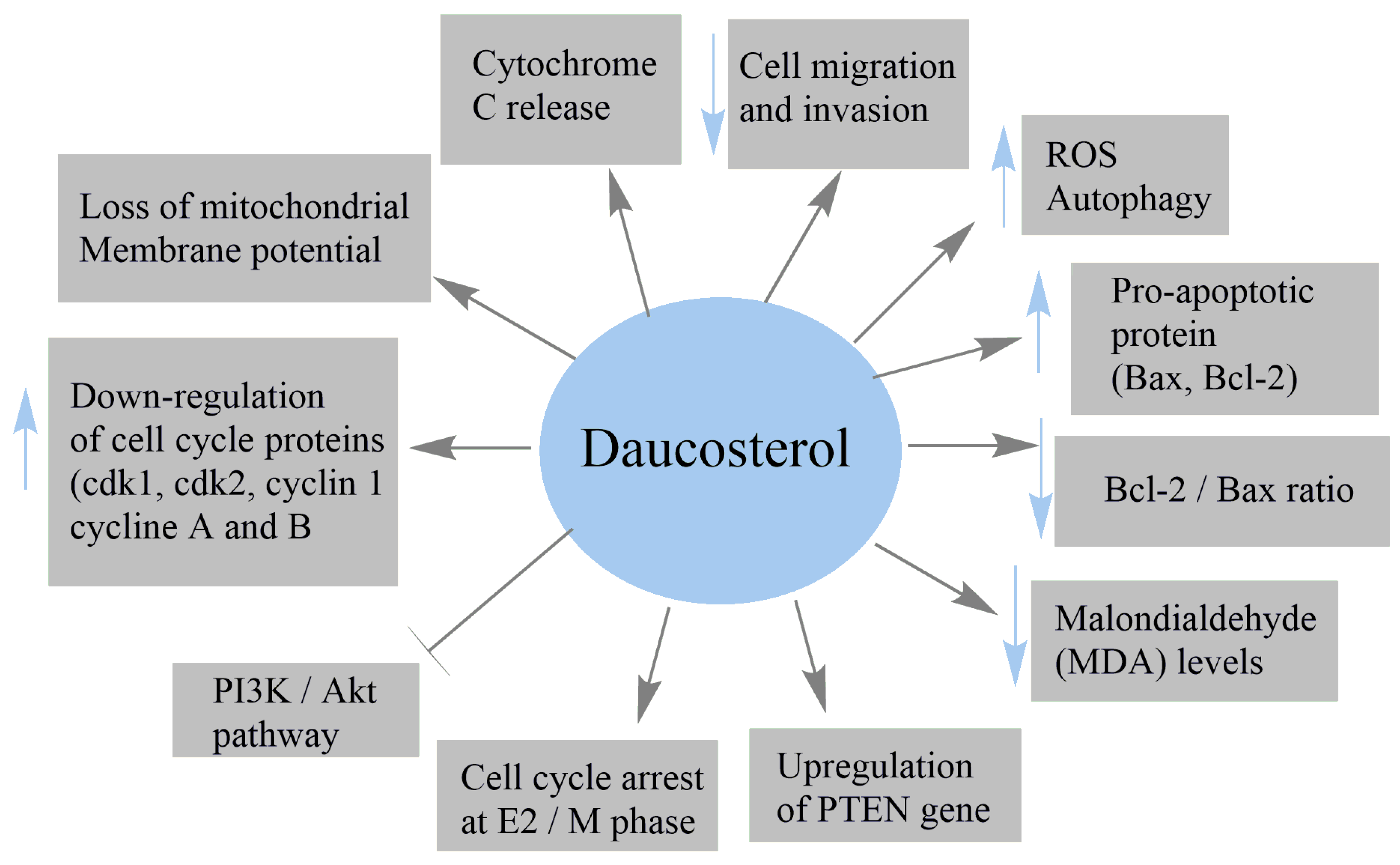 Applsci 12 05779 g004