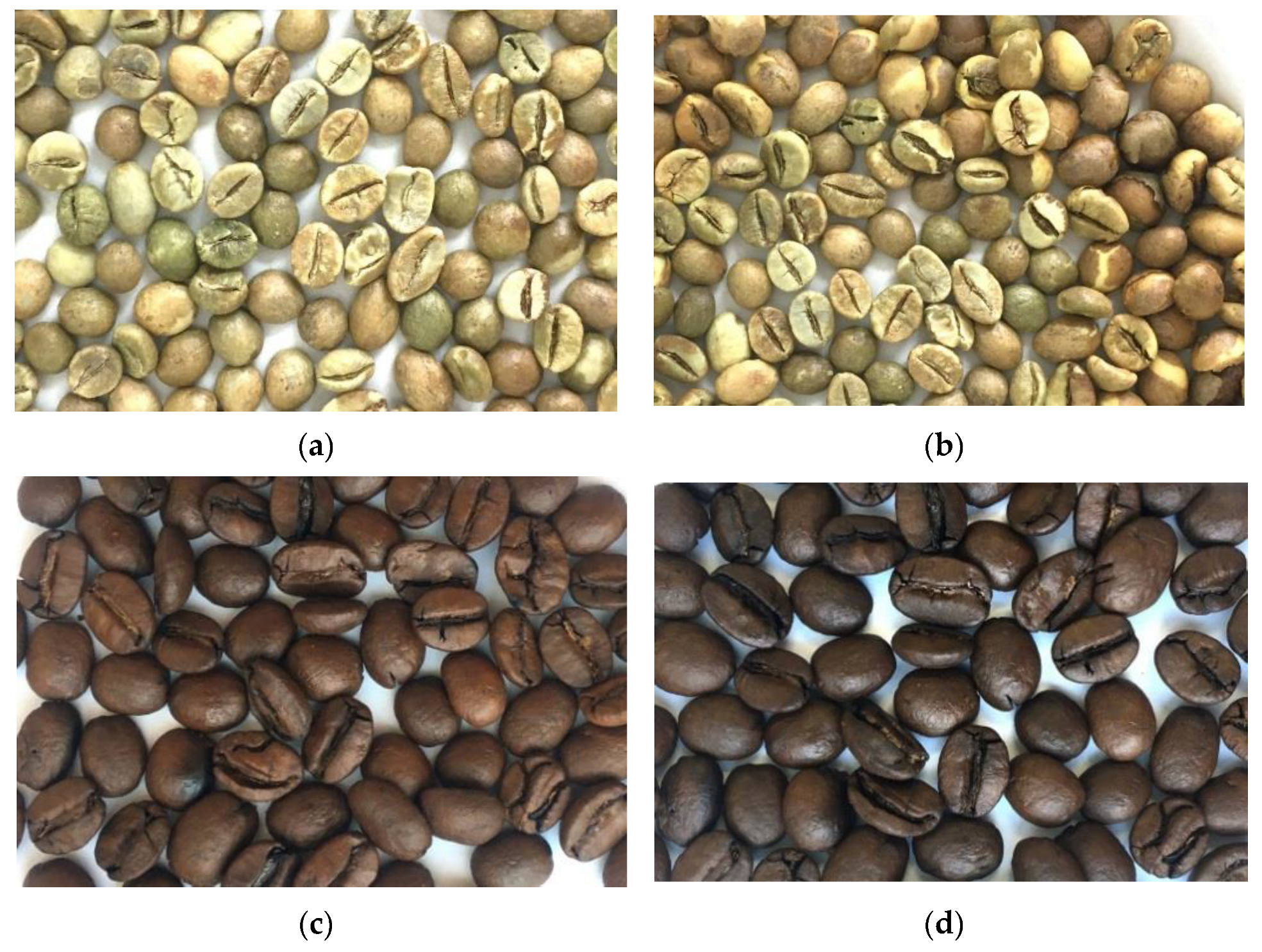 Applsci 12 05780 g00a1