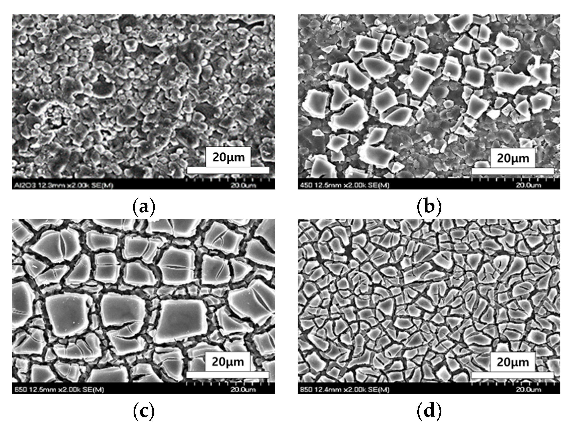 Applsci 12 05796 g005 550