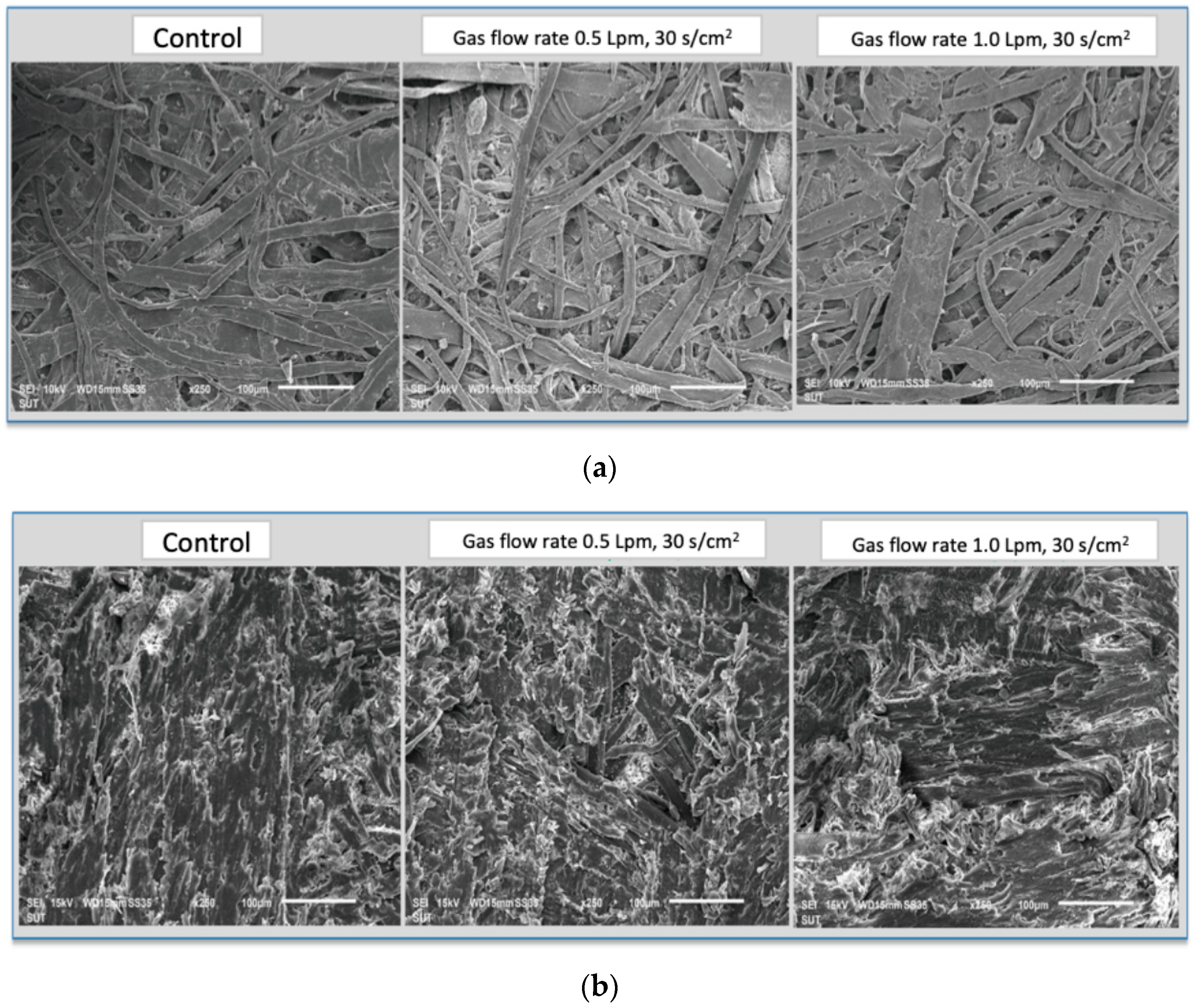 Applsci 12 05800 g004
