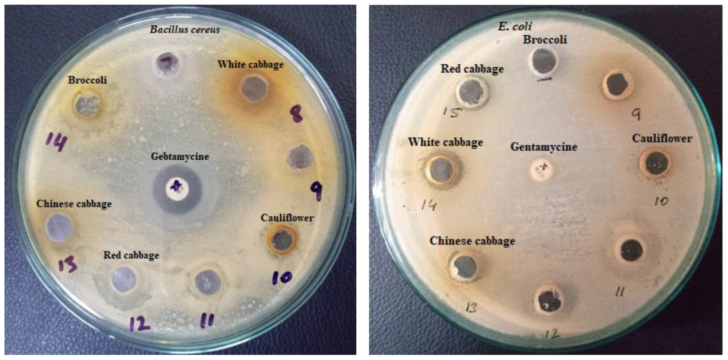 Applsci 12 05811 g003