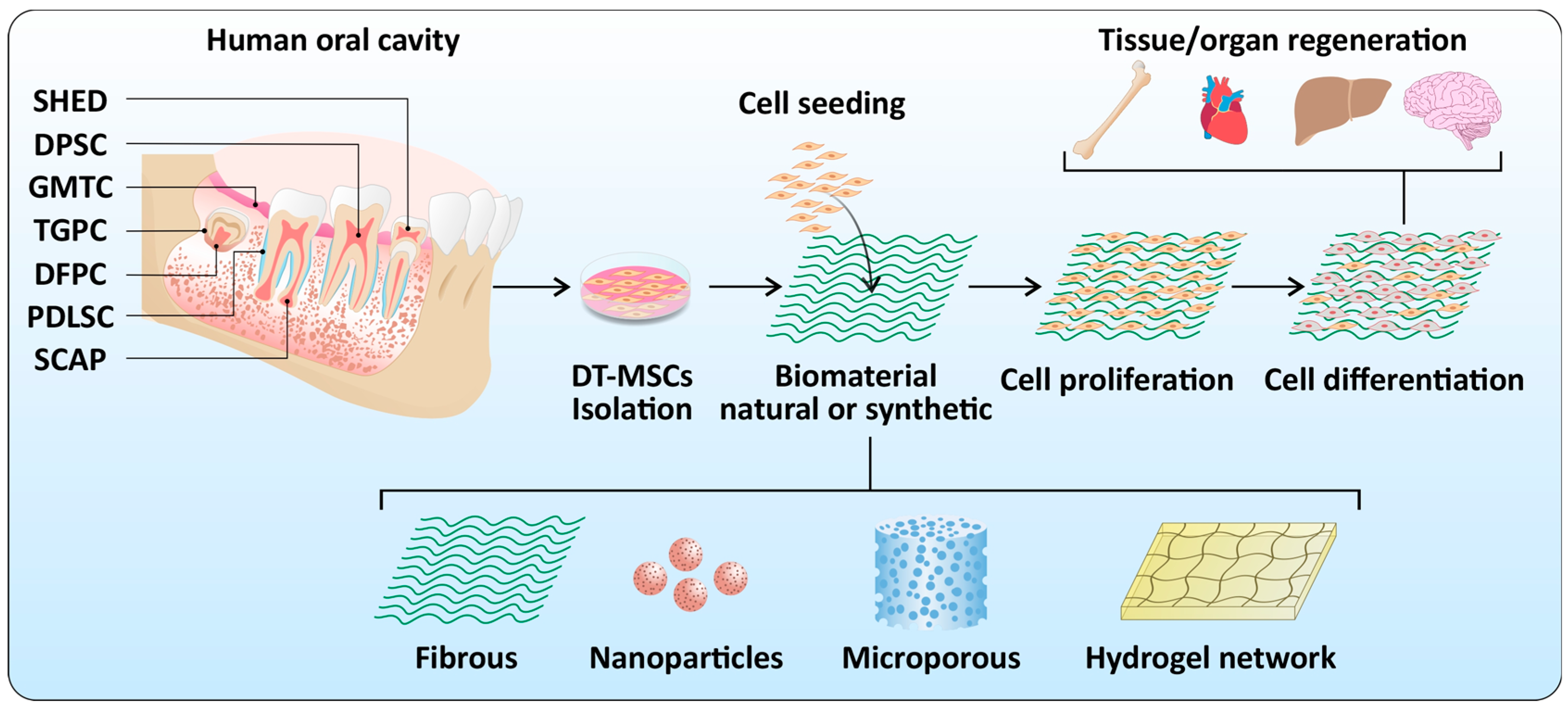 Applsci 12 05815 g001 Applsci 12 05815 g001