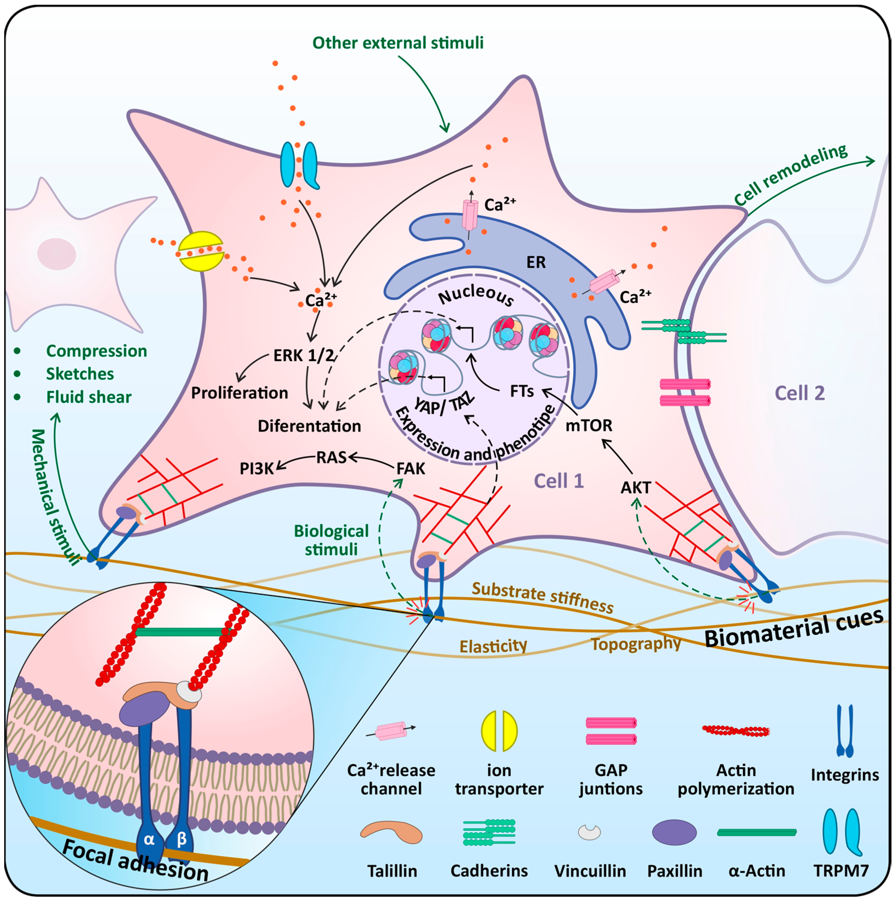 Applsci 12 05815 g003 Applsci 12 05815 g003