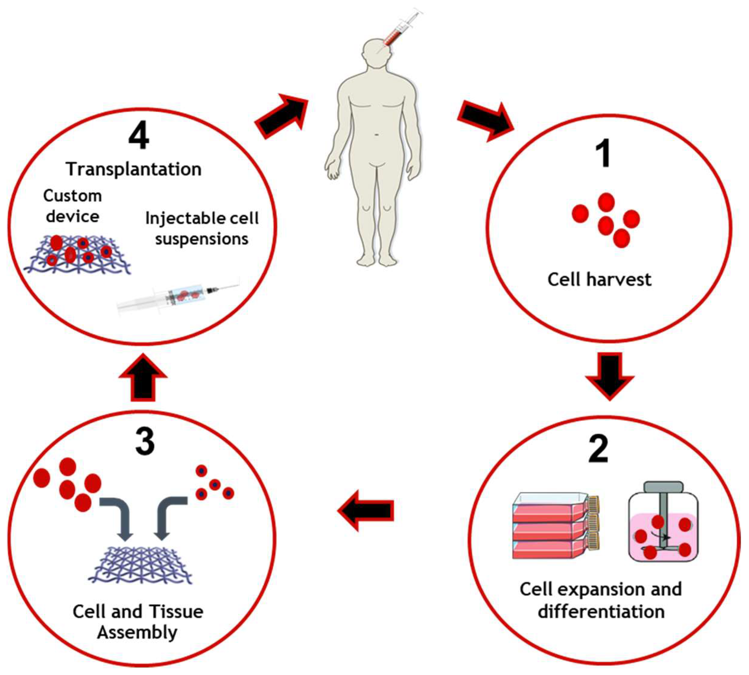 Applsci 12 05886 g002