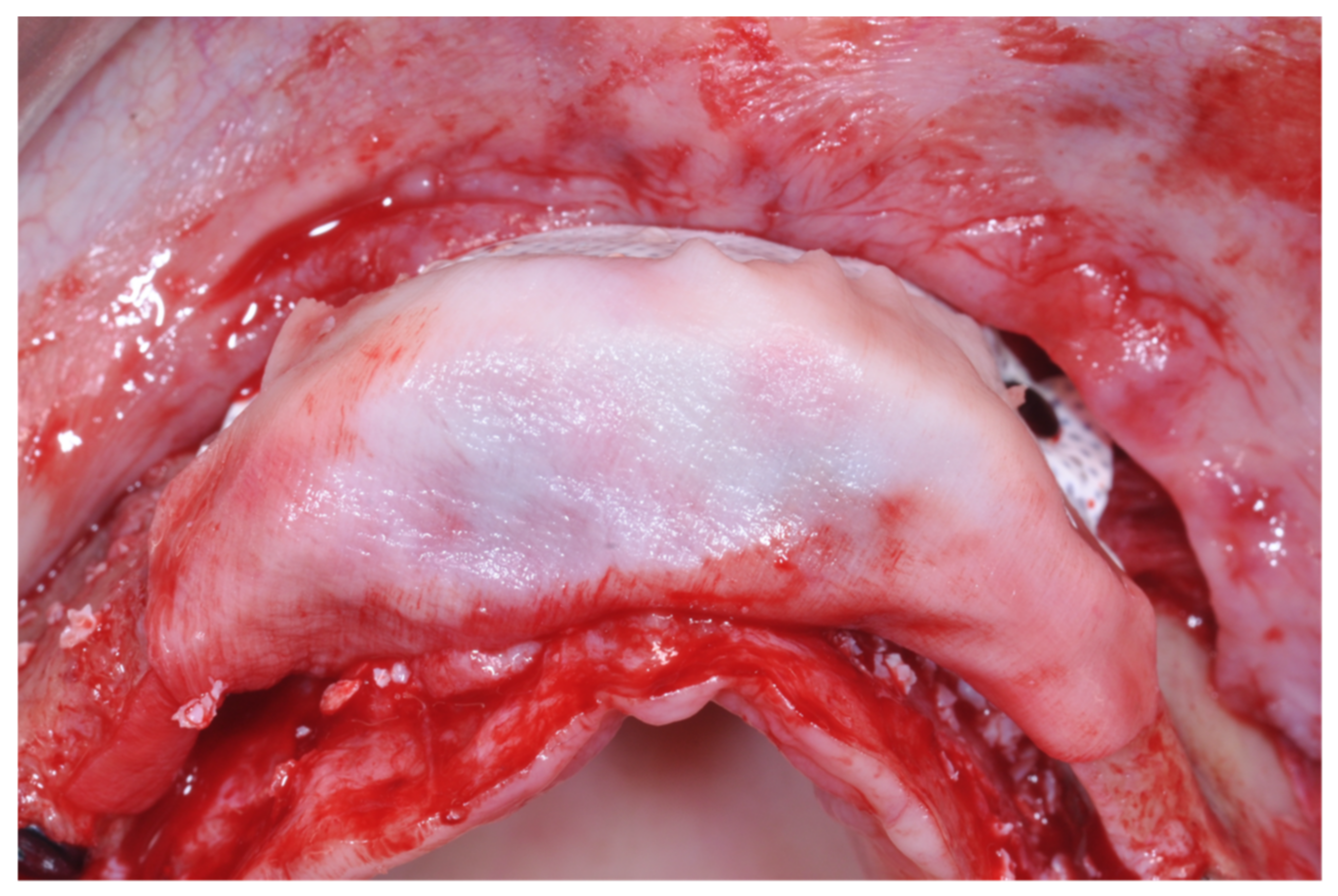 Applsci 12 05889 g012 550