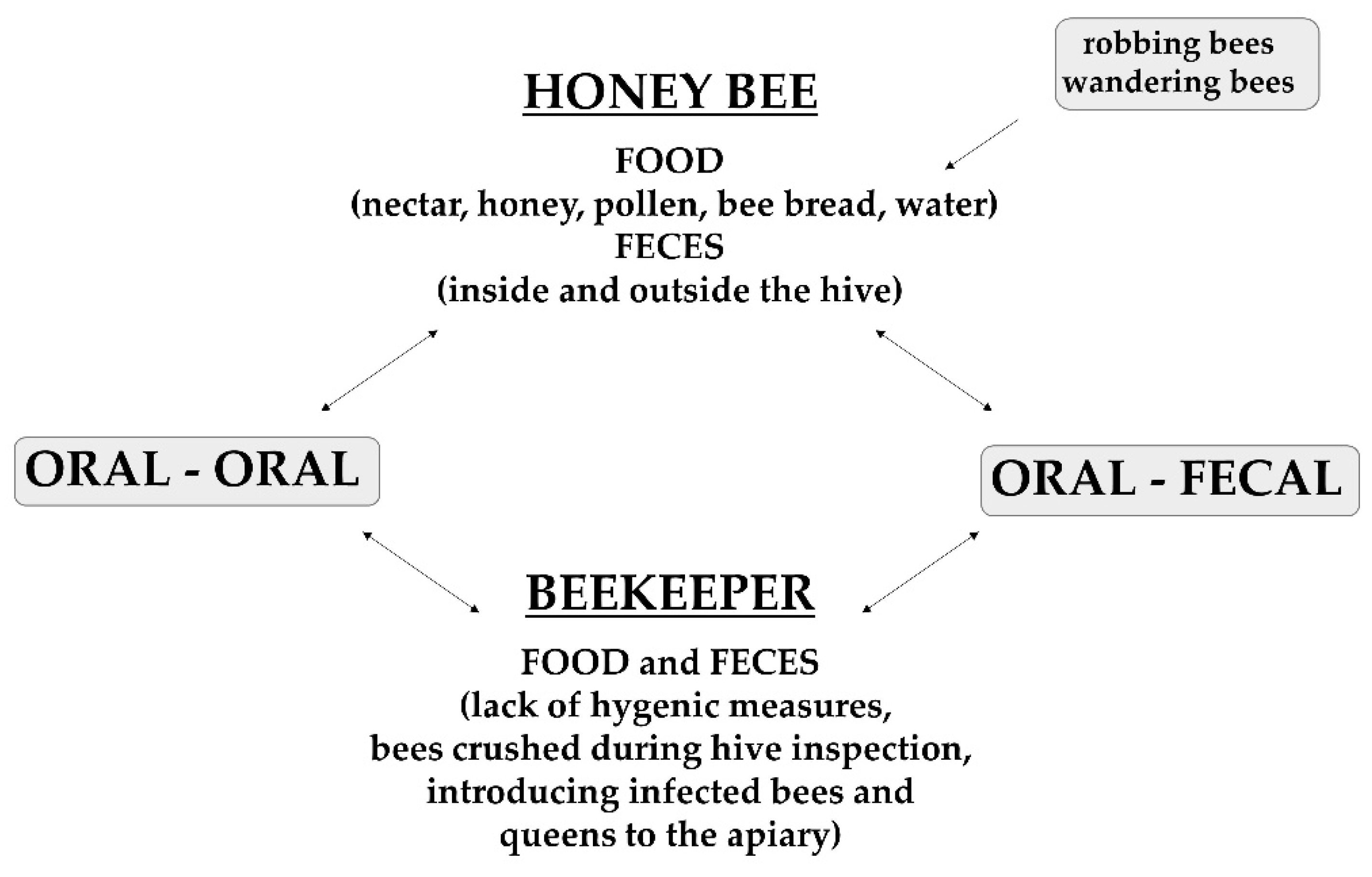 Applied Sciences Free FullText Nosemosis in Honeybees A Review