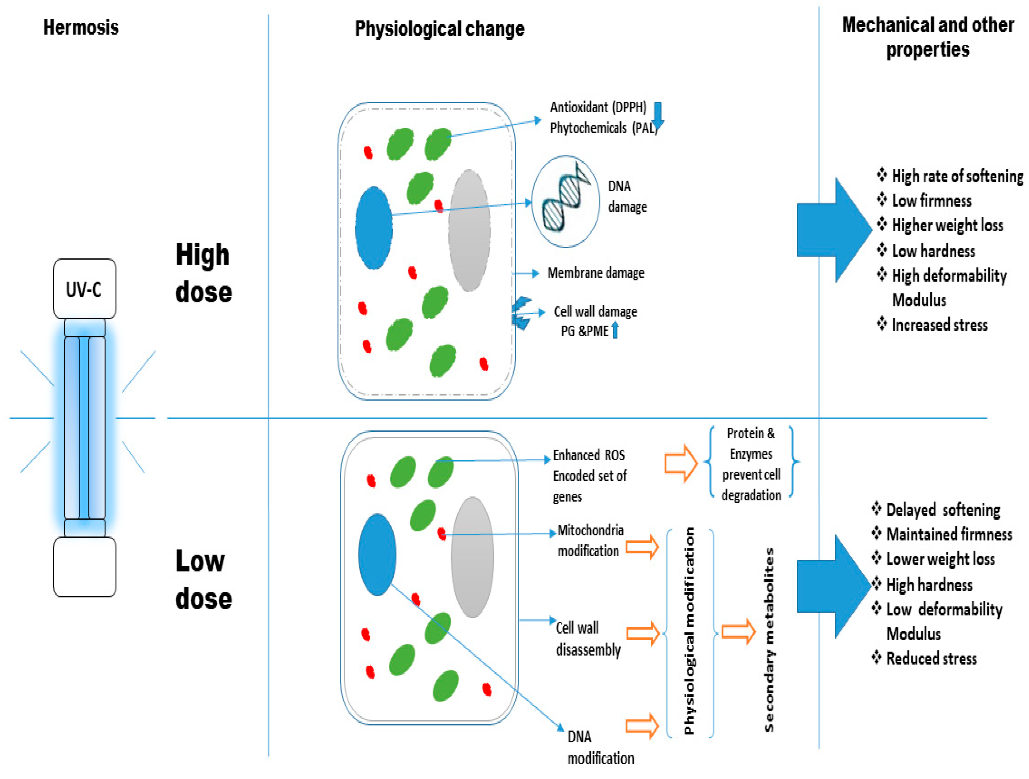 Applsci 12 05907 g002 Applsci 12 05907 g002