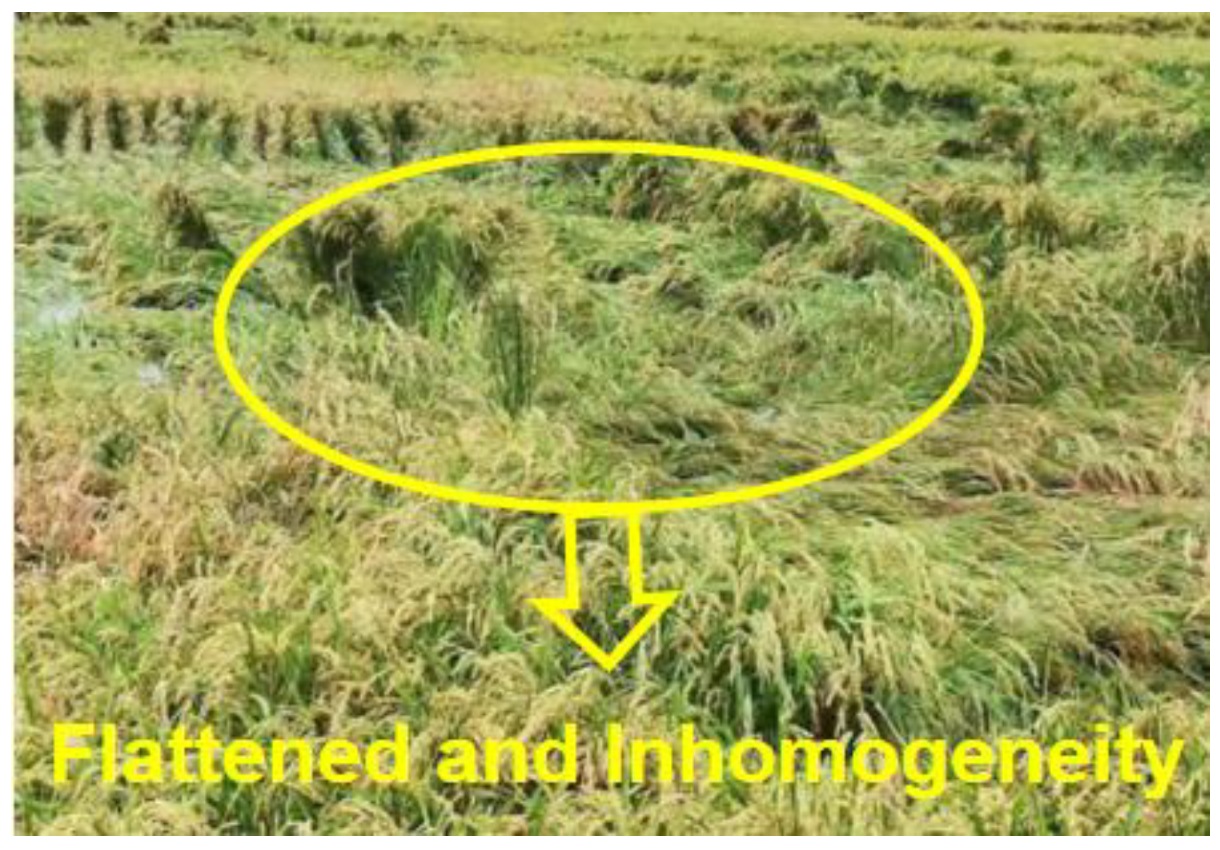 Applsci 12 05930 g002 550