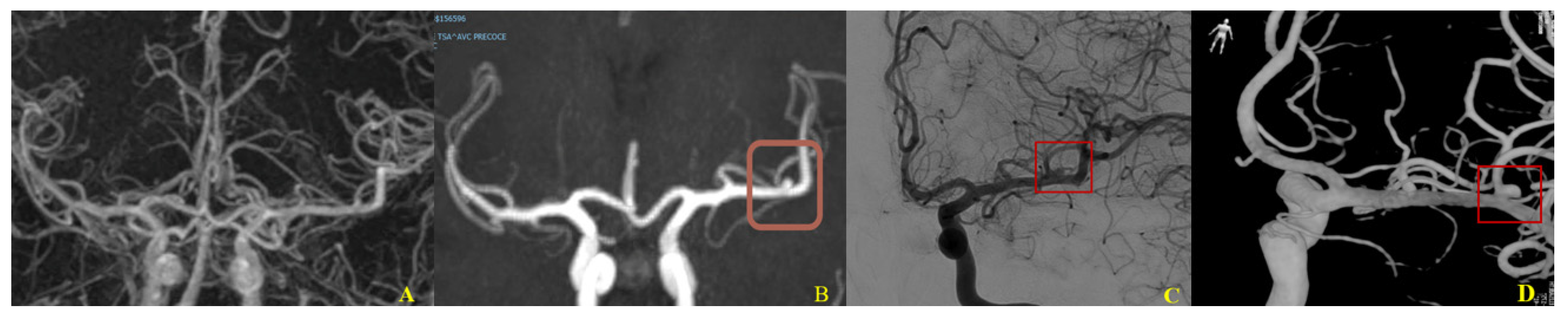 Applsci 12 05964 g002 Applsci 12 05964 g002