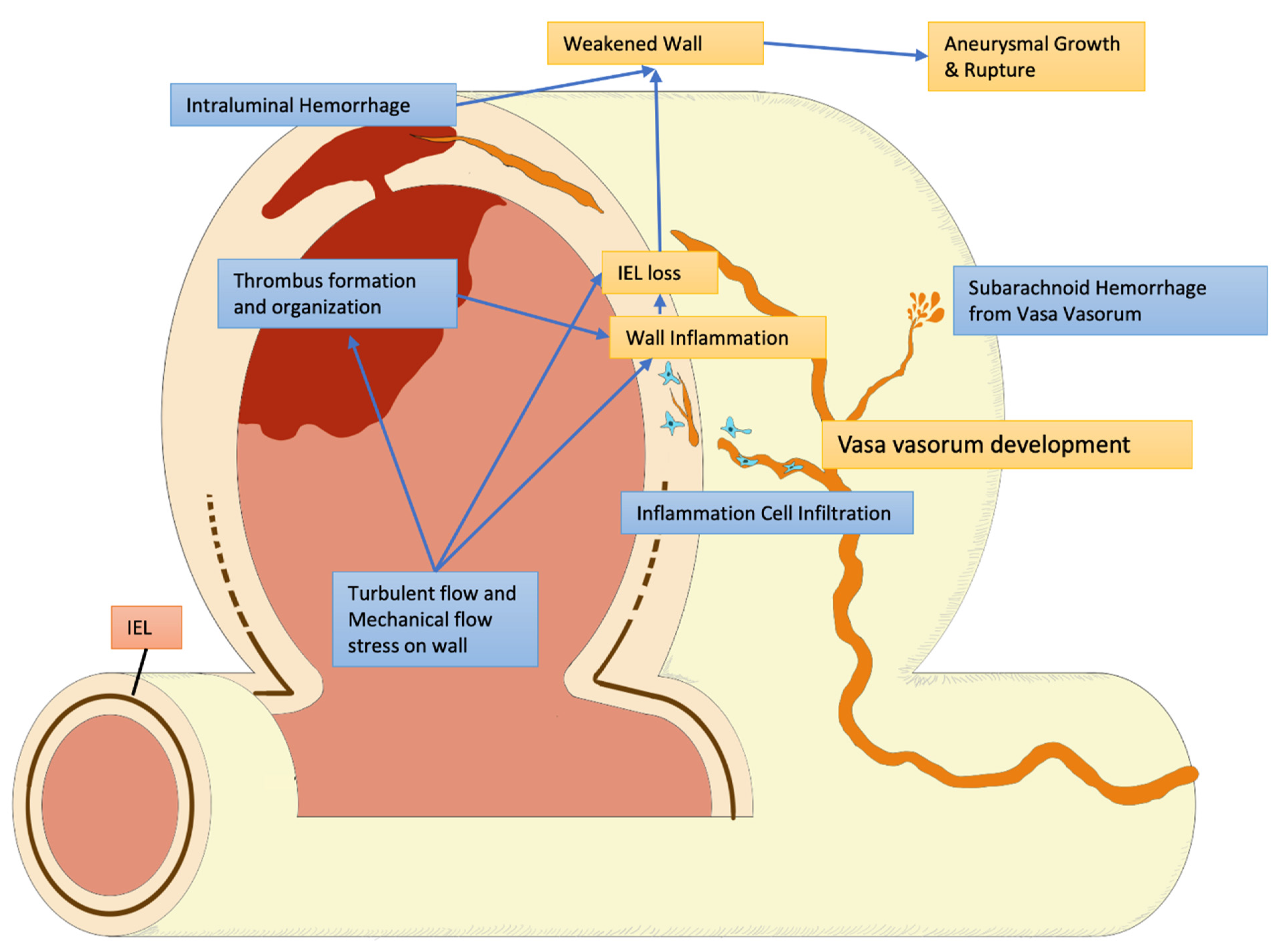 Applsci 12 05964 g003 Applsci 12 05964 g003