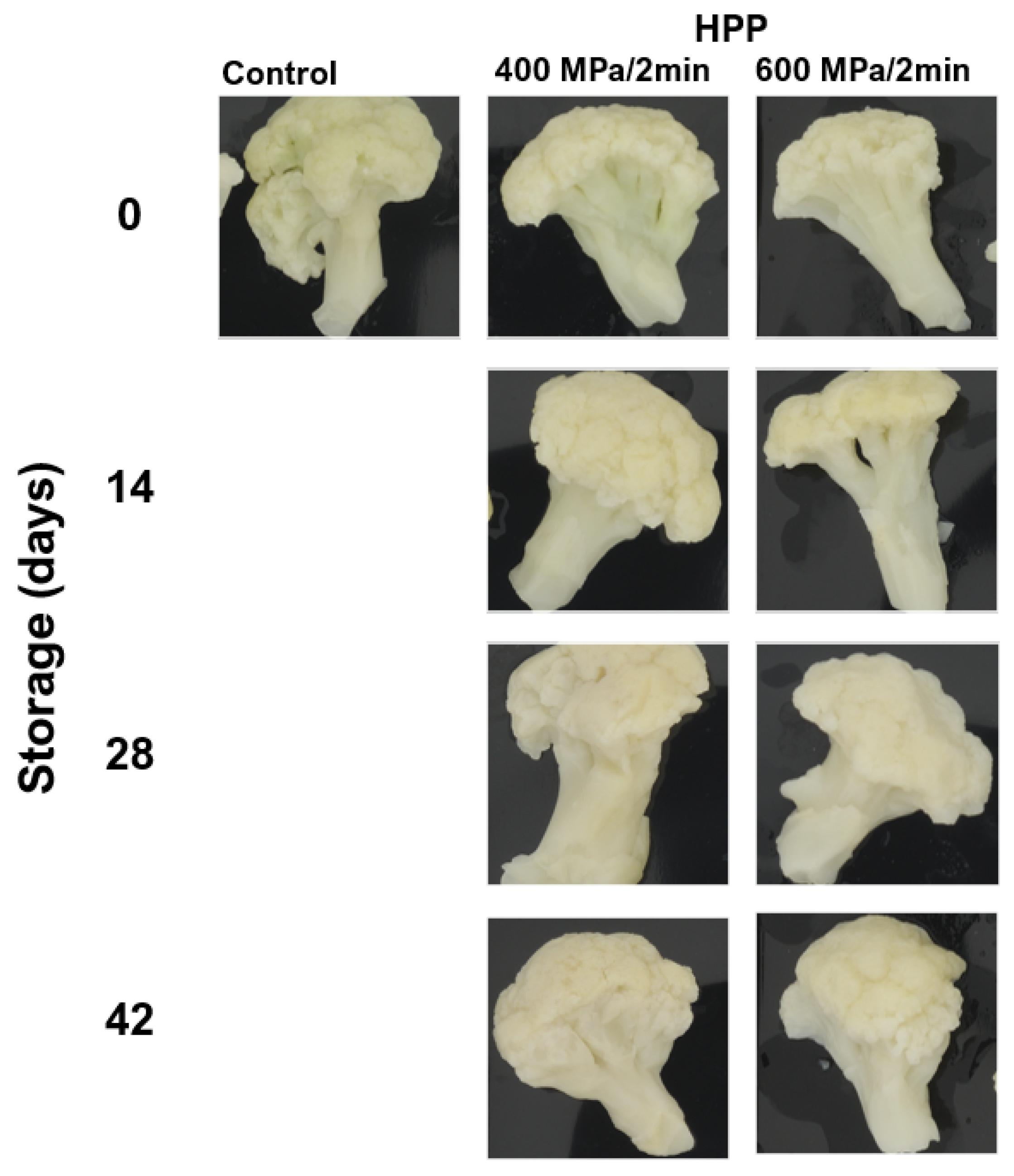 Applsci 12 06013 g001 Applsci 12 06013 g001