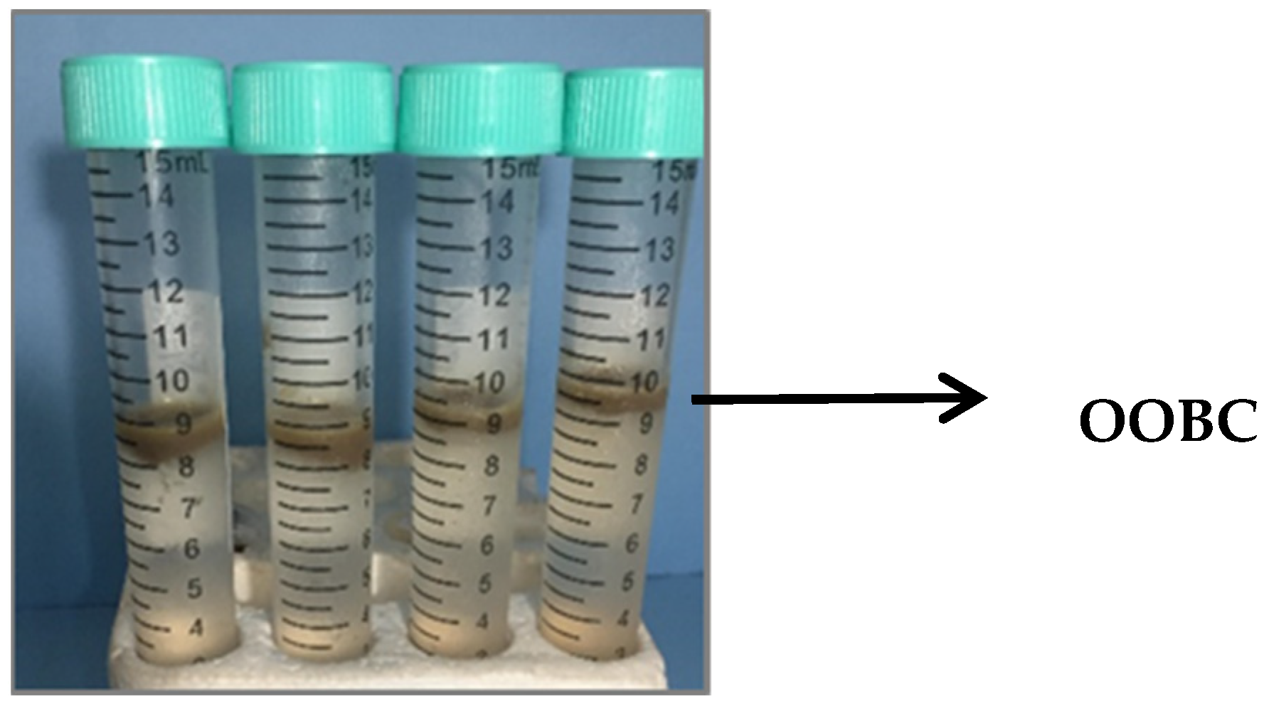 Applsci 12 06019 g002