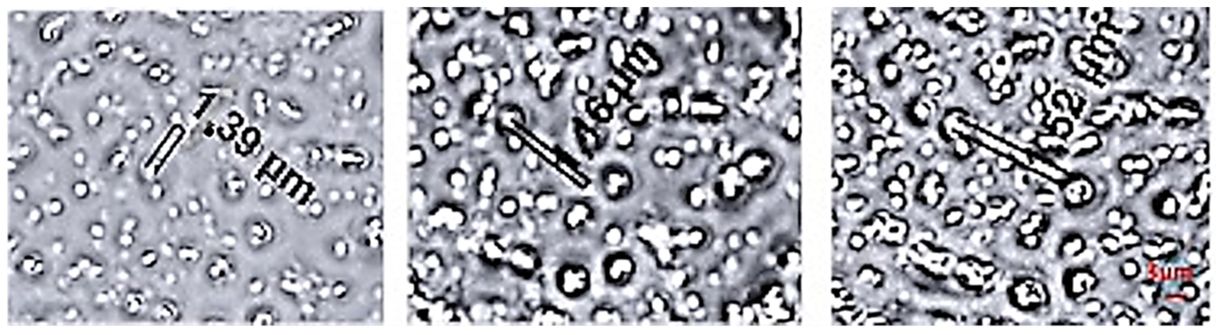 Applsci 12 06019 g006