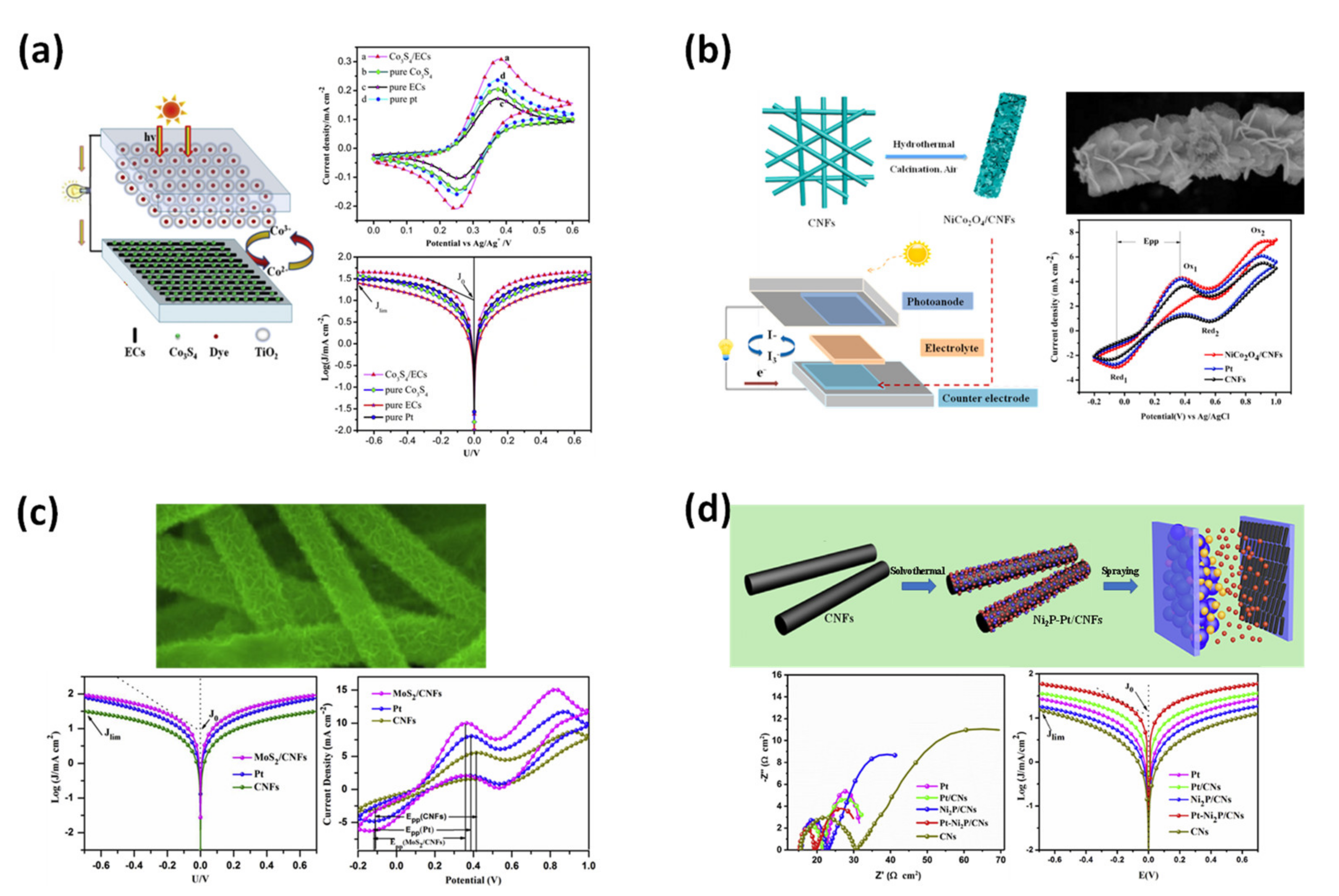 Applsci 12 06048 g015