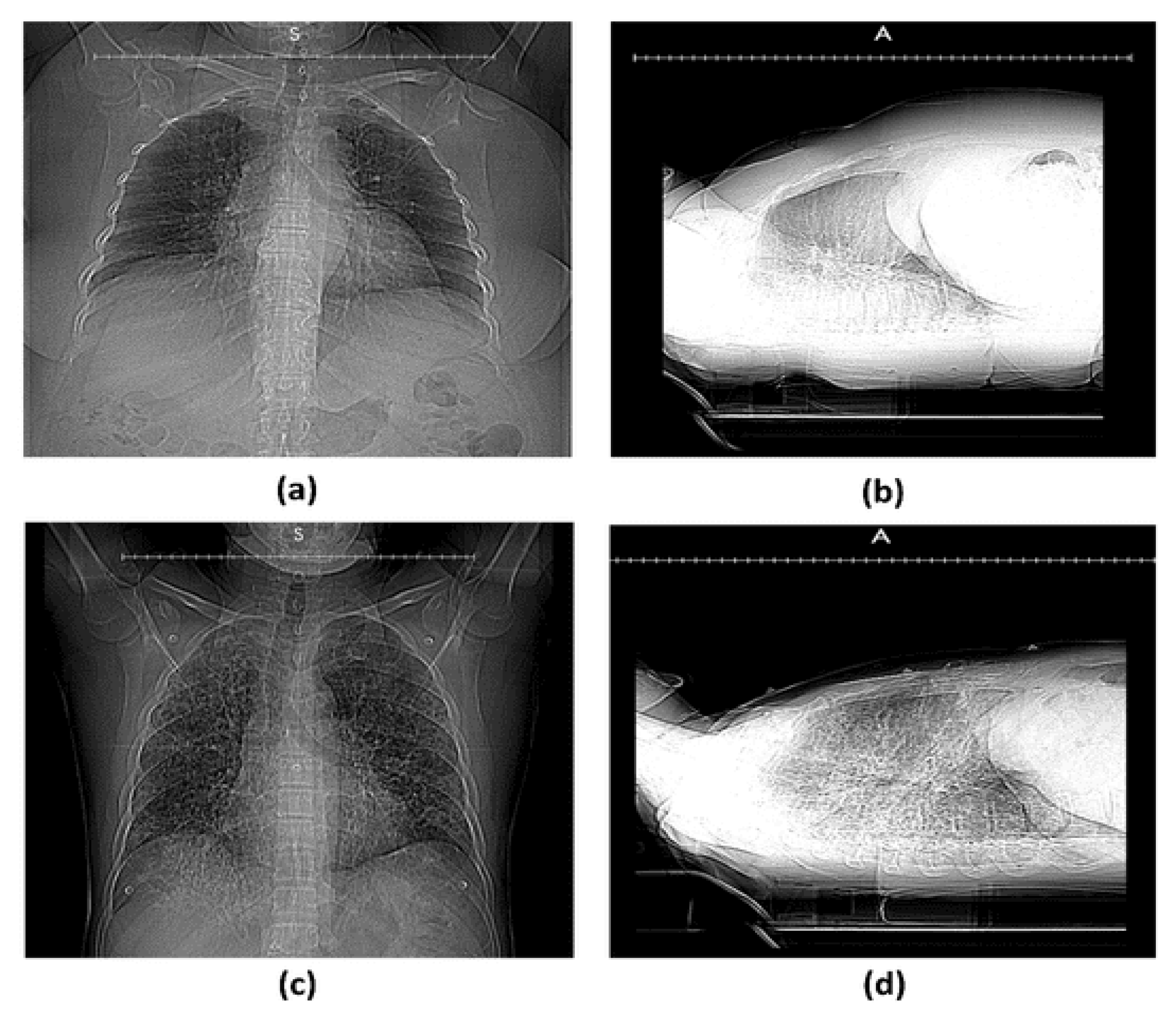 Applsci 12 06052 g008