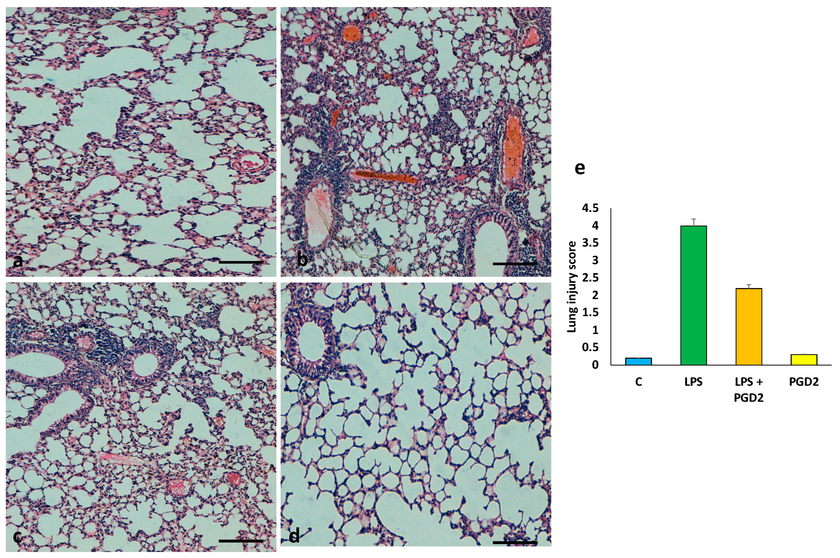 Applsci 12 06076 g006