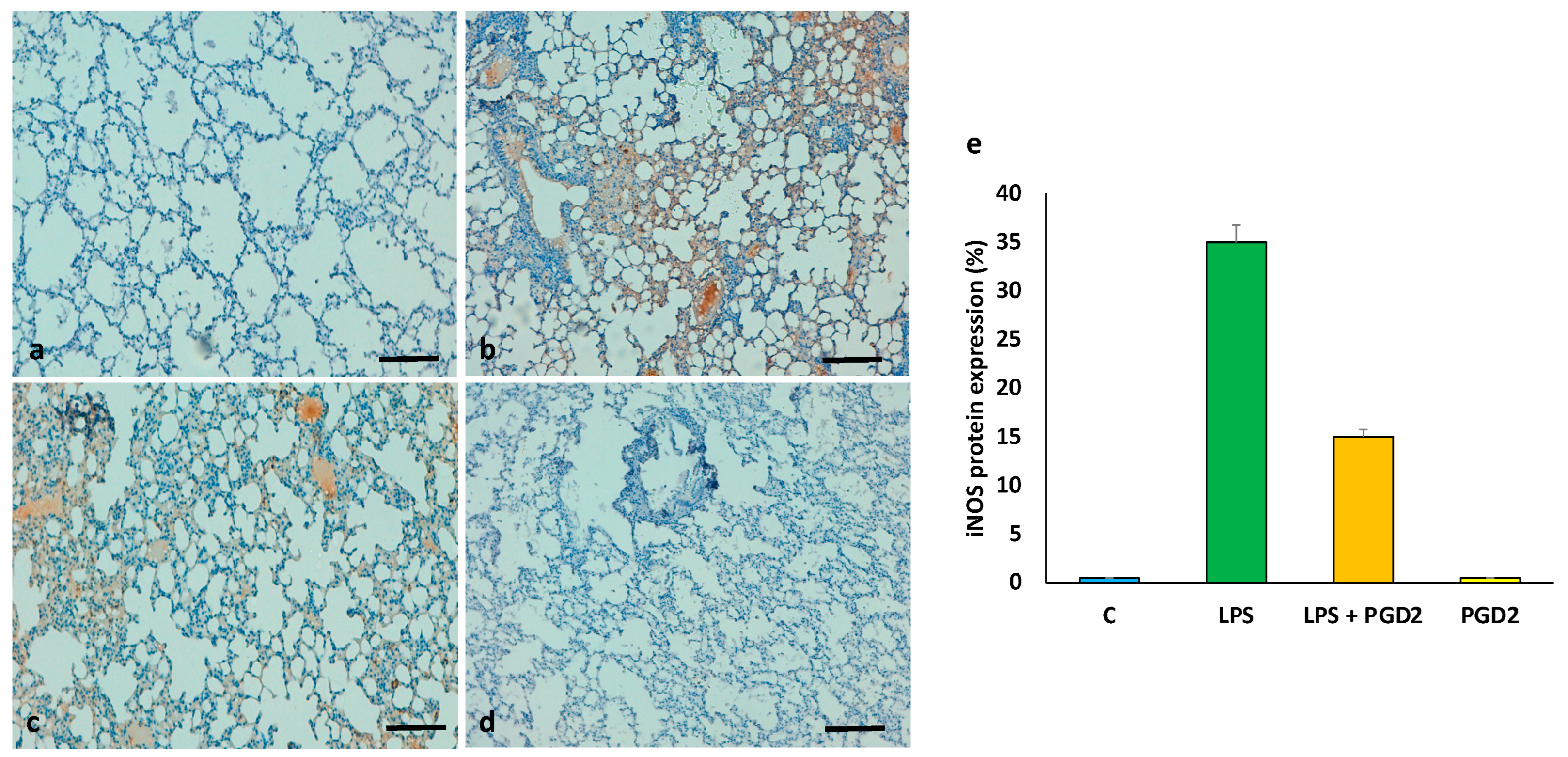 Applsci 12 06076 g007