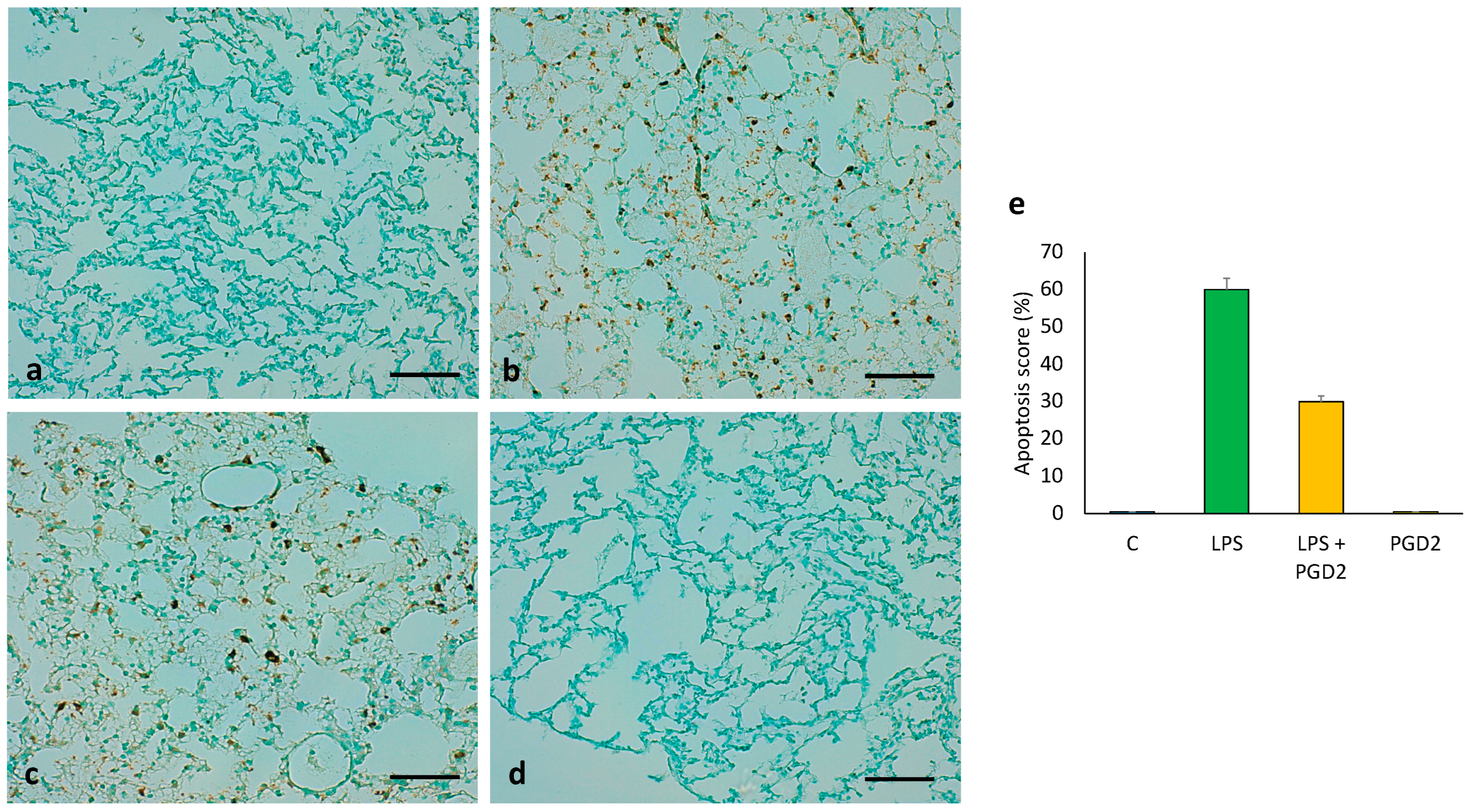 Applsci 12 06076 g008