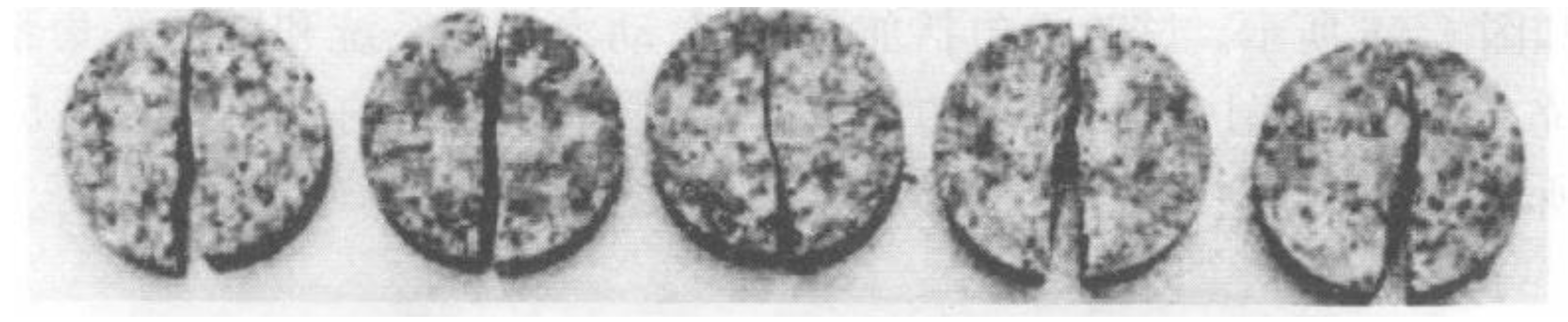 Applsci 12 06095 g006