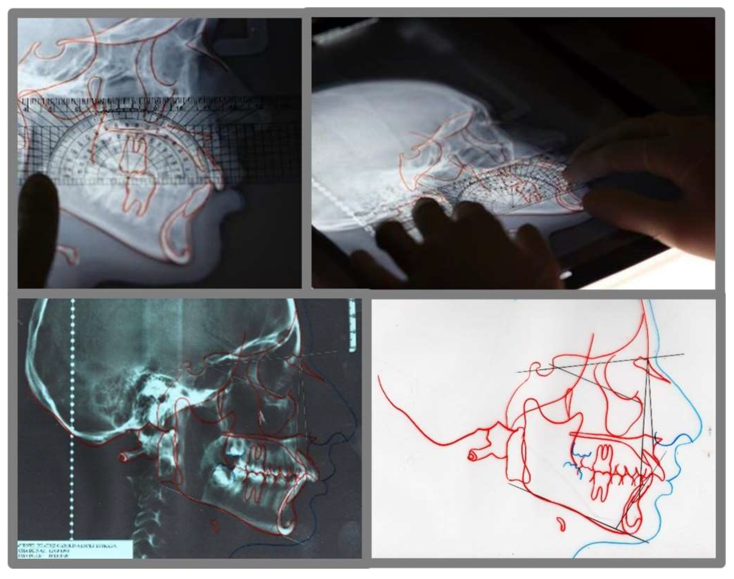 Applsci 12 06105 g004 Applsci 12 06105 g004