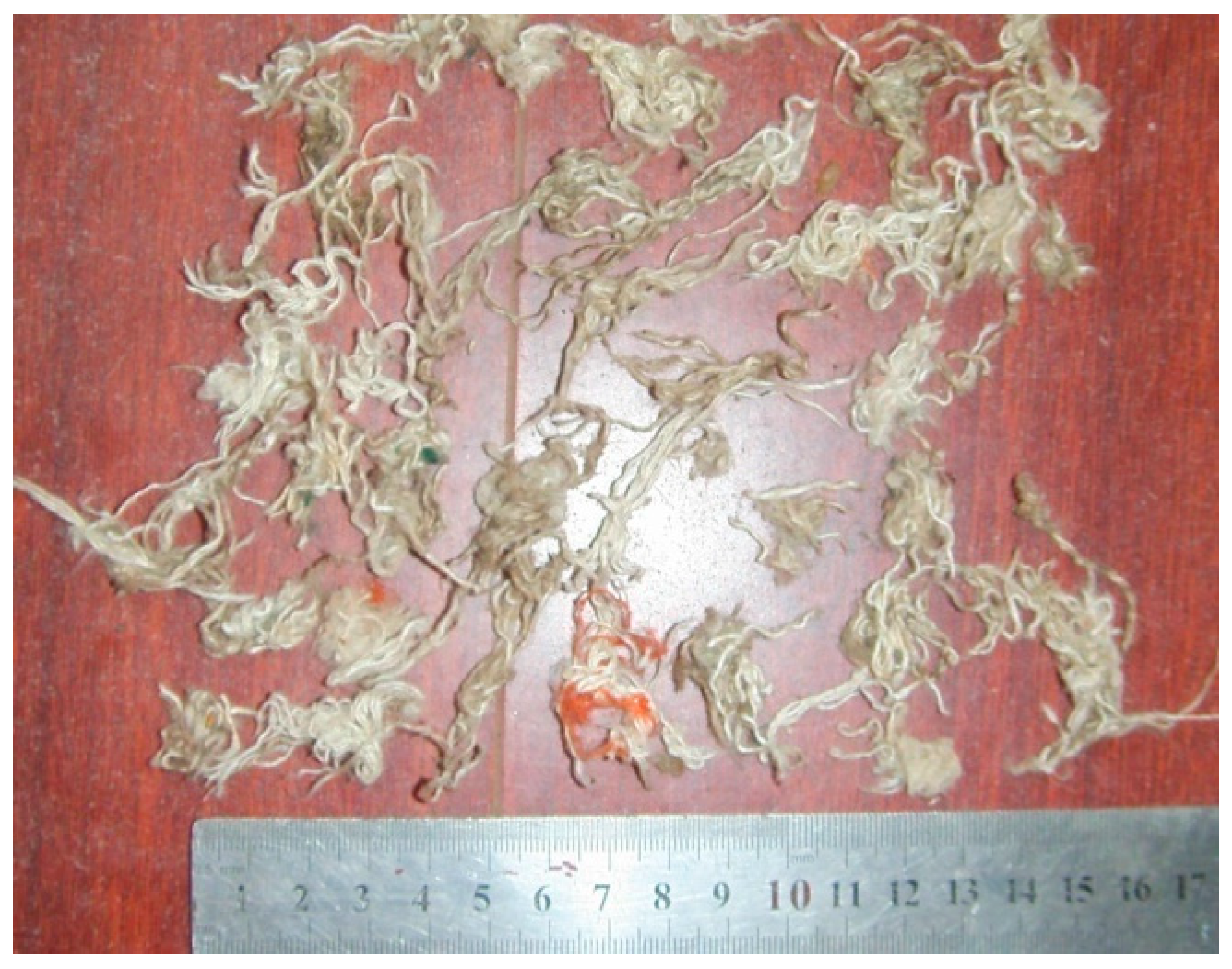 Applsci 12 06112 g021