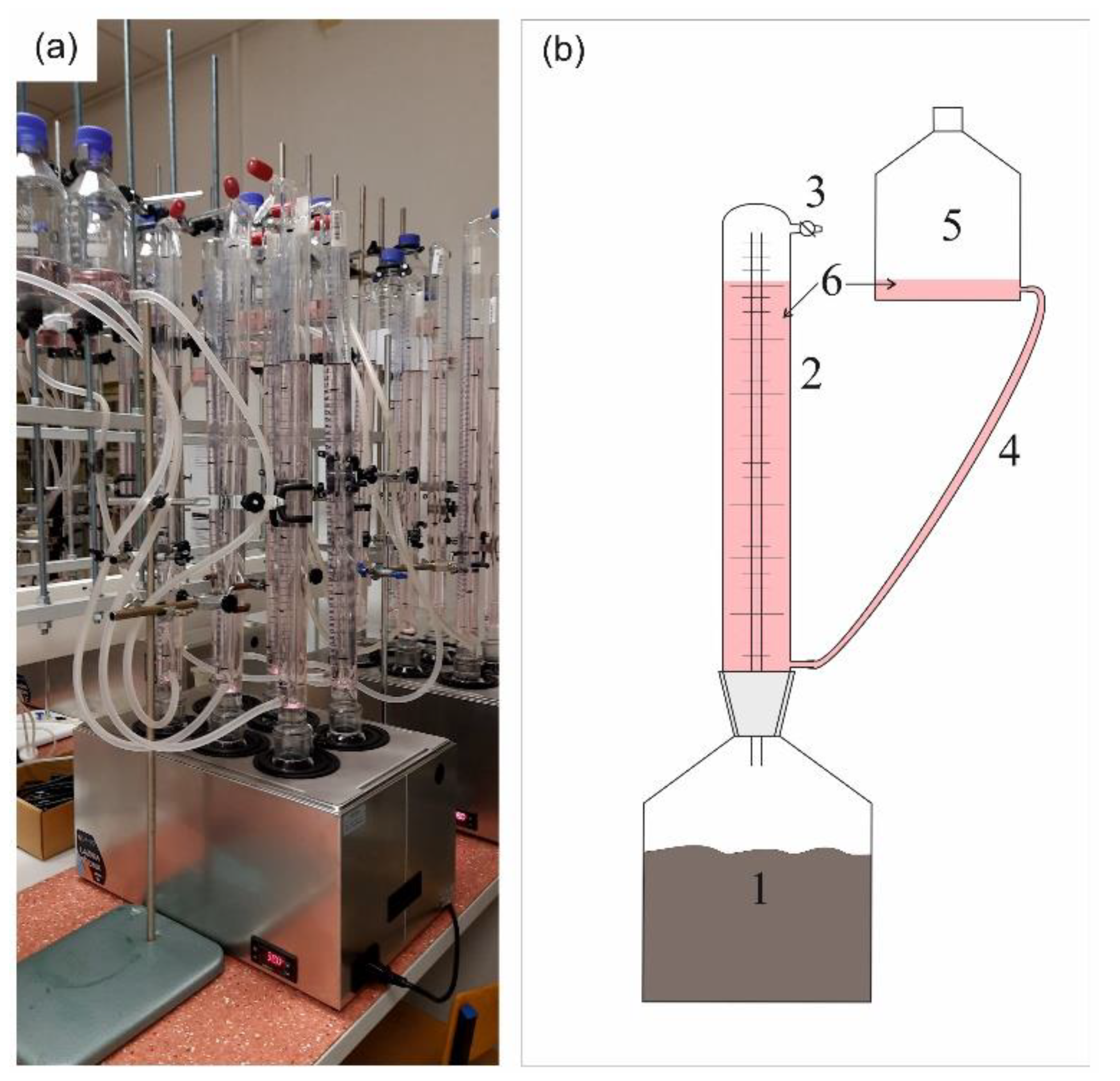 Methane Production Potential from Apple Pomace, Cabbage Leaves 