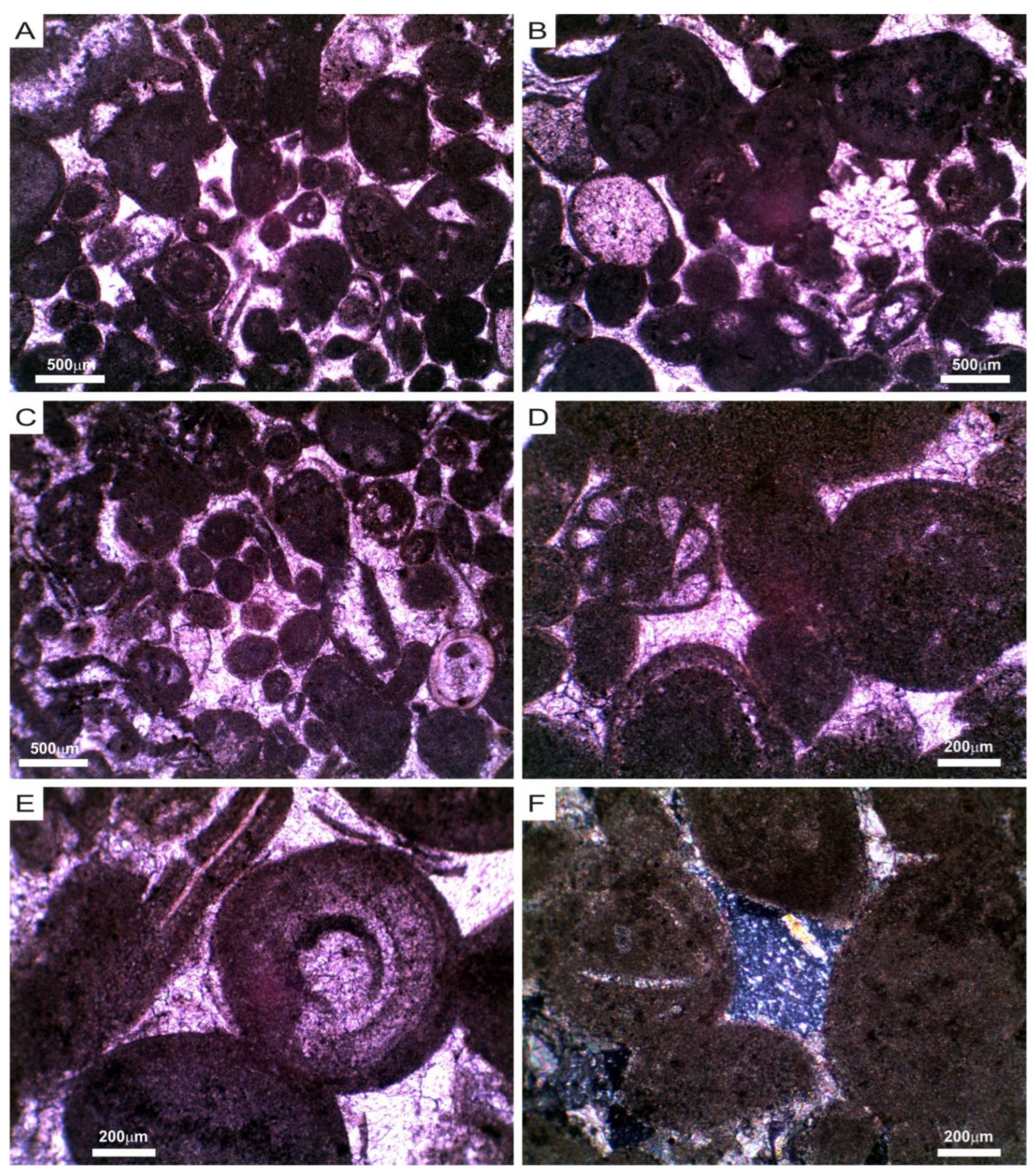 Applsci 12 06222 g003