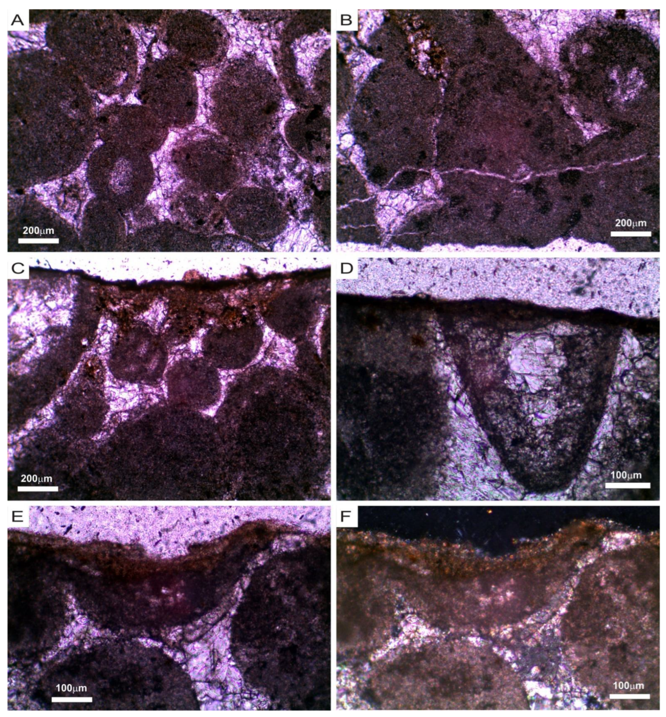 Applsci 12 06222 g004