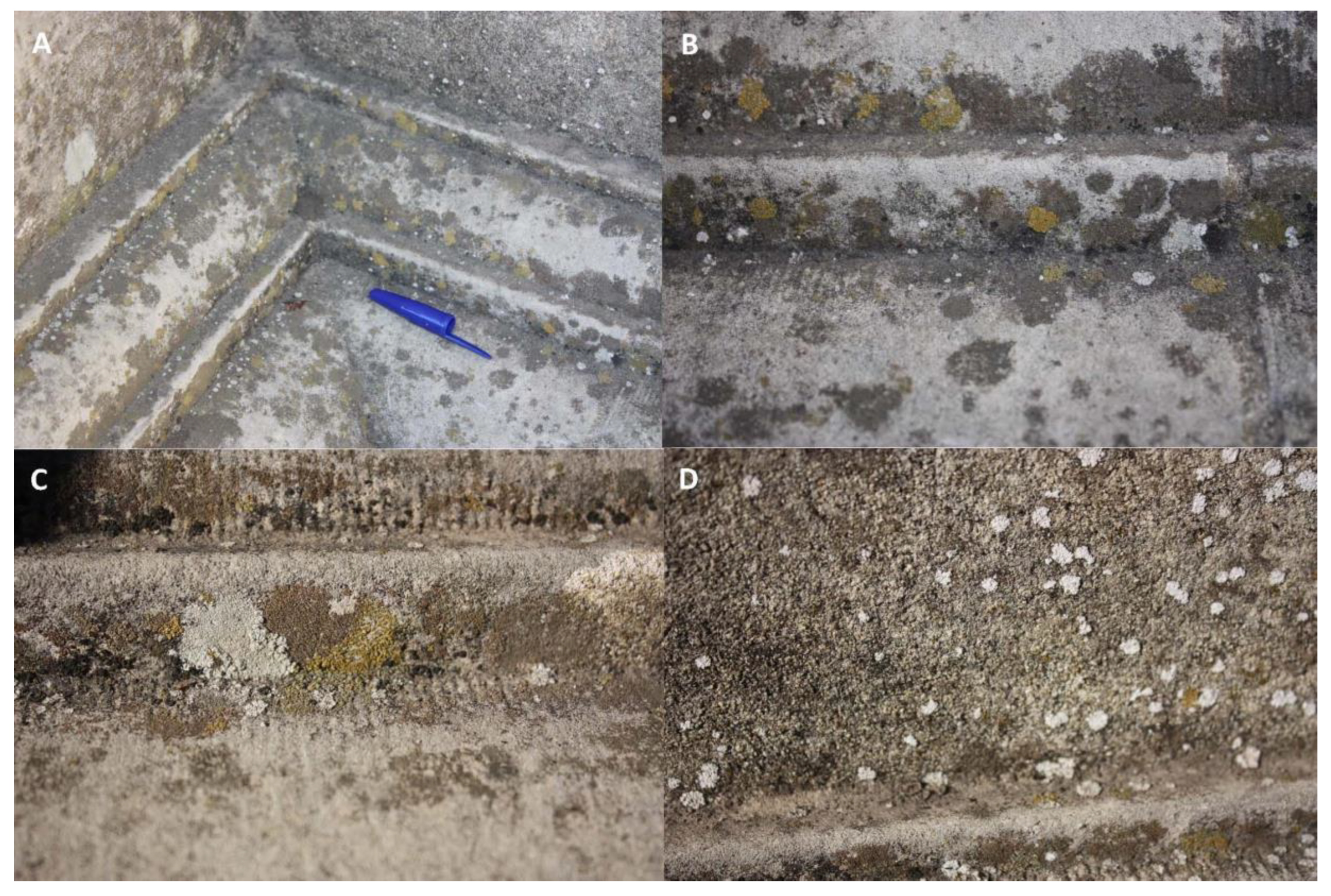 Applsci 12 06222 g007