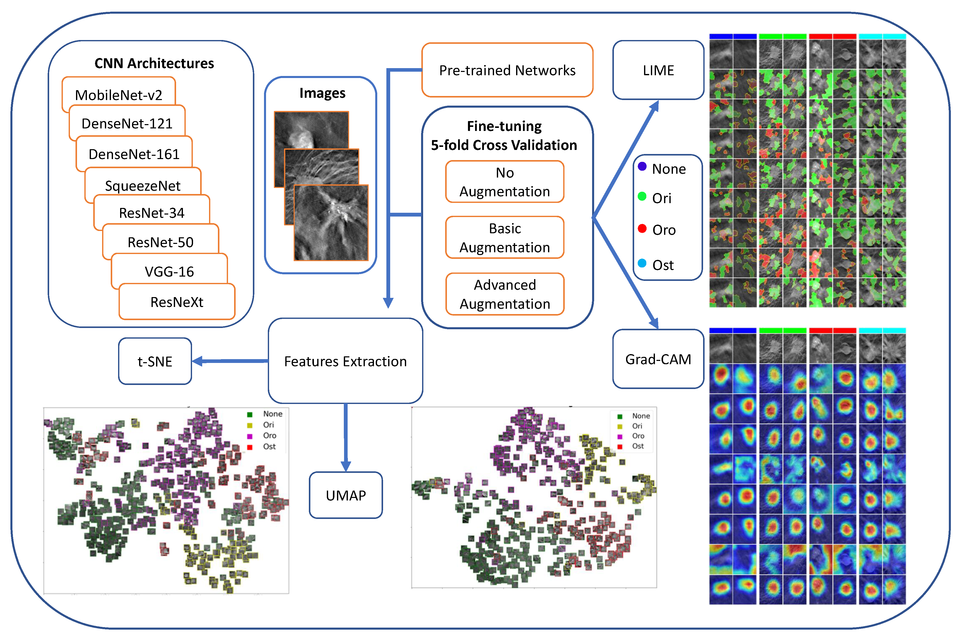 Applsci 12 06230 g005 Applsci 12 06230 g005