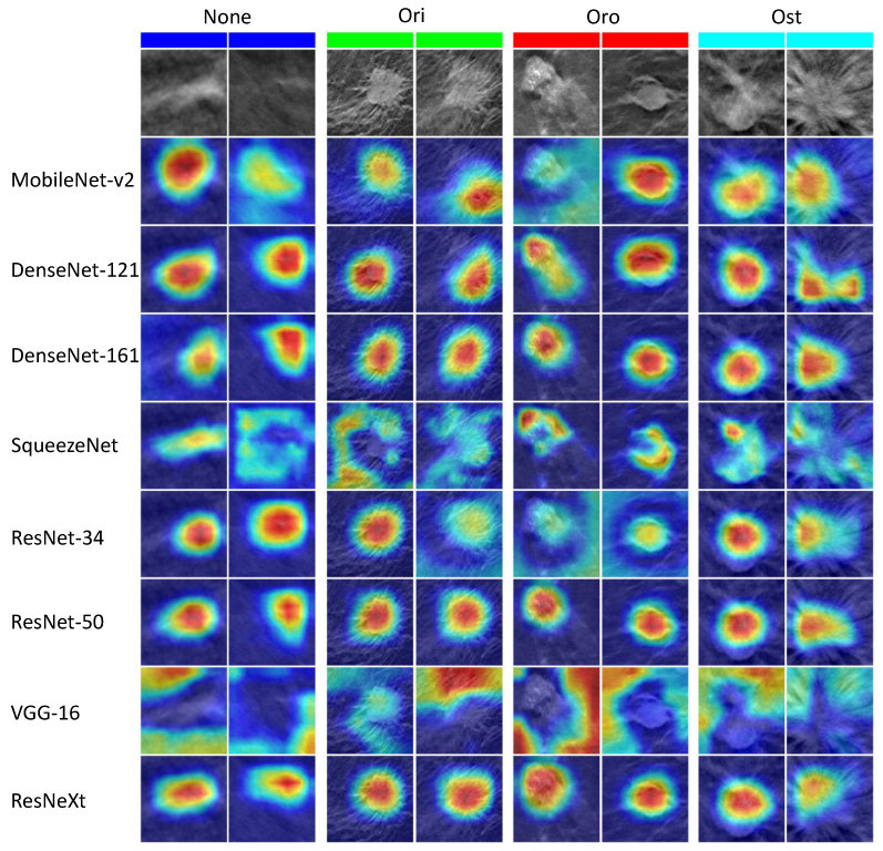 Applsci 12 06230 g011 Applsci 12 06230 g011
