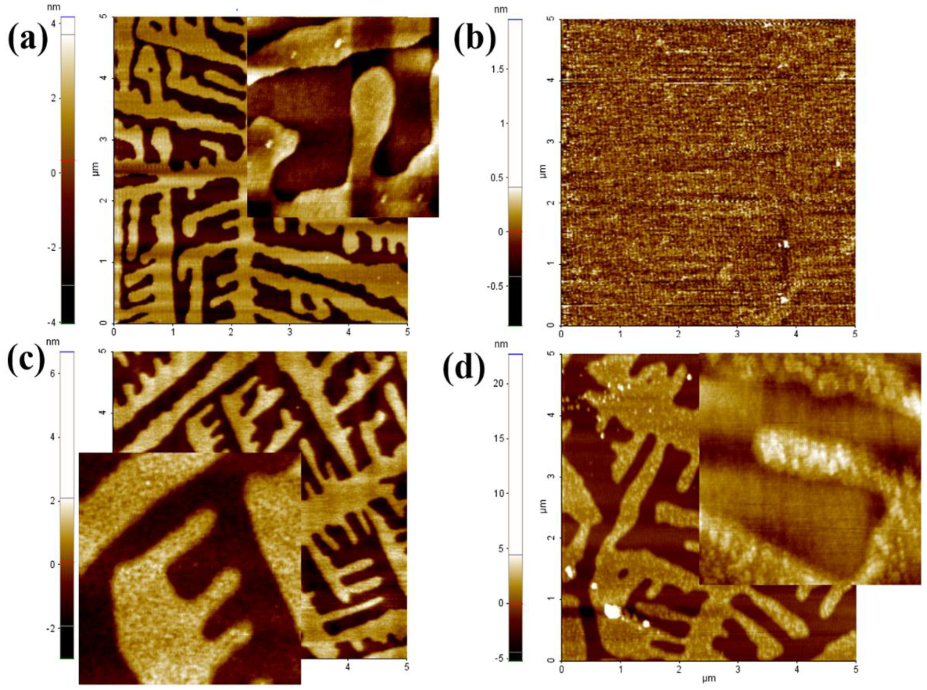 Applsci 12 06233 g002