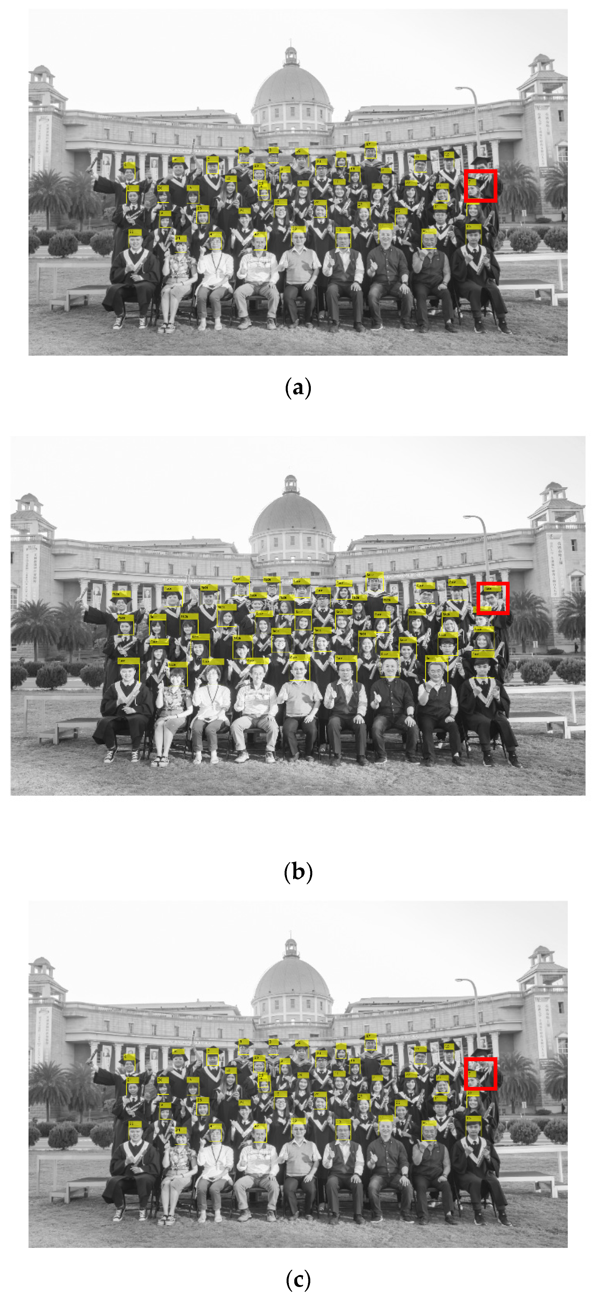 Applsci 12 06239 g007 550