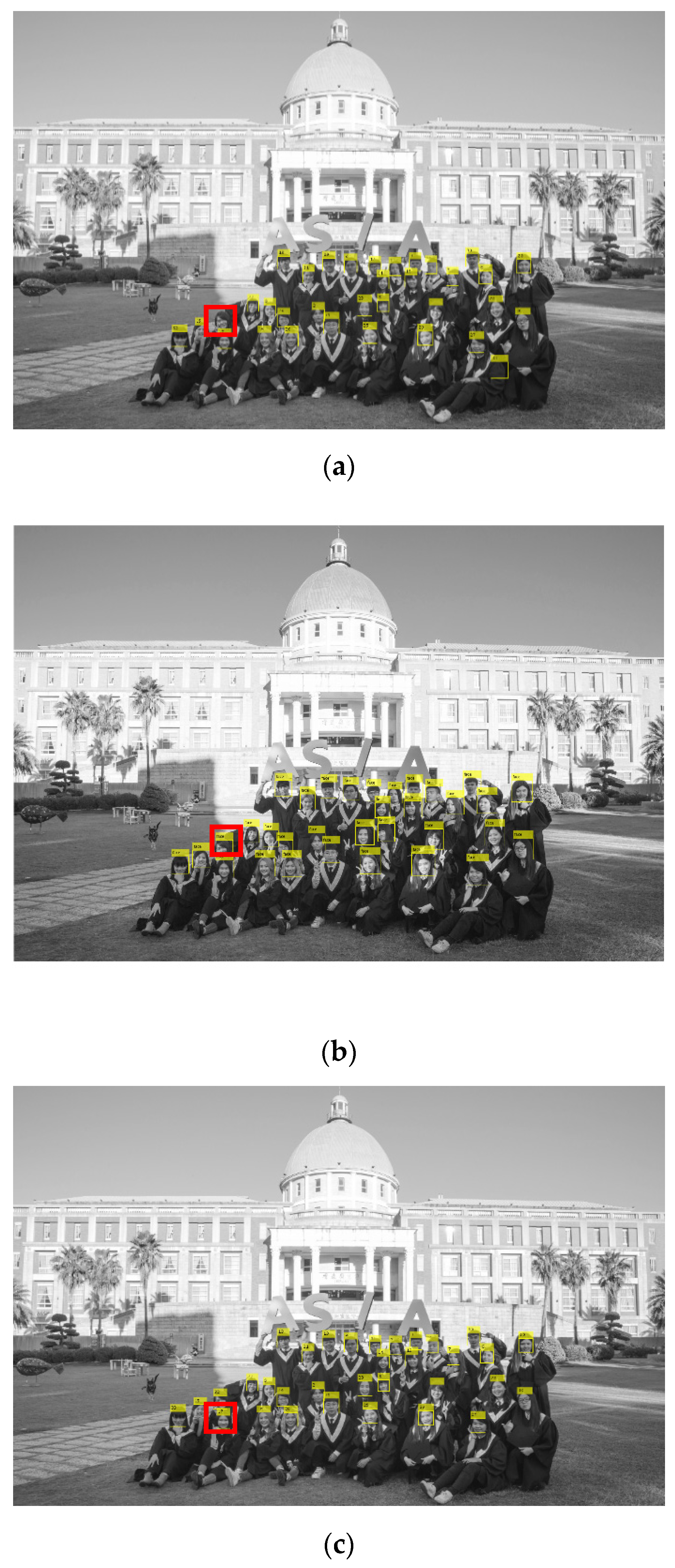 Applsci 12 06239 g008 550