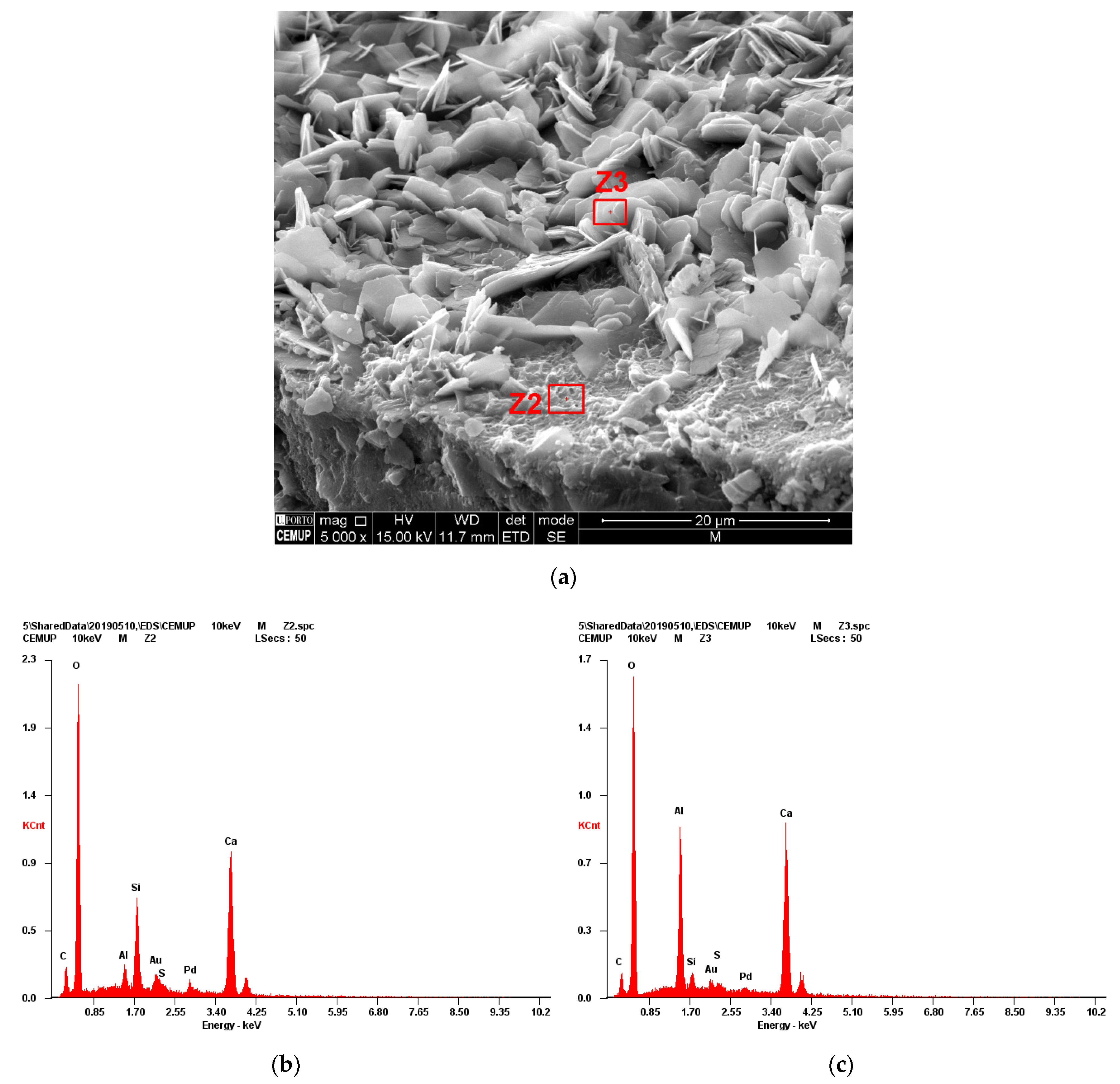 Applsci 12 06252 g005