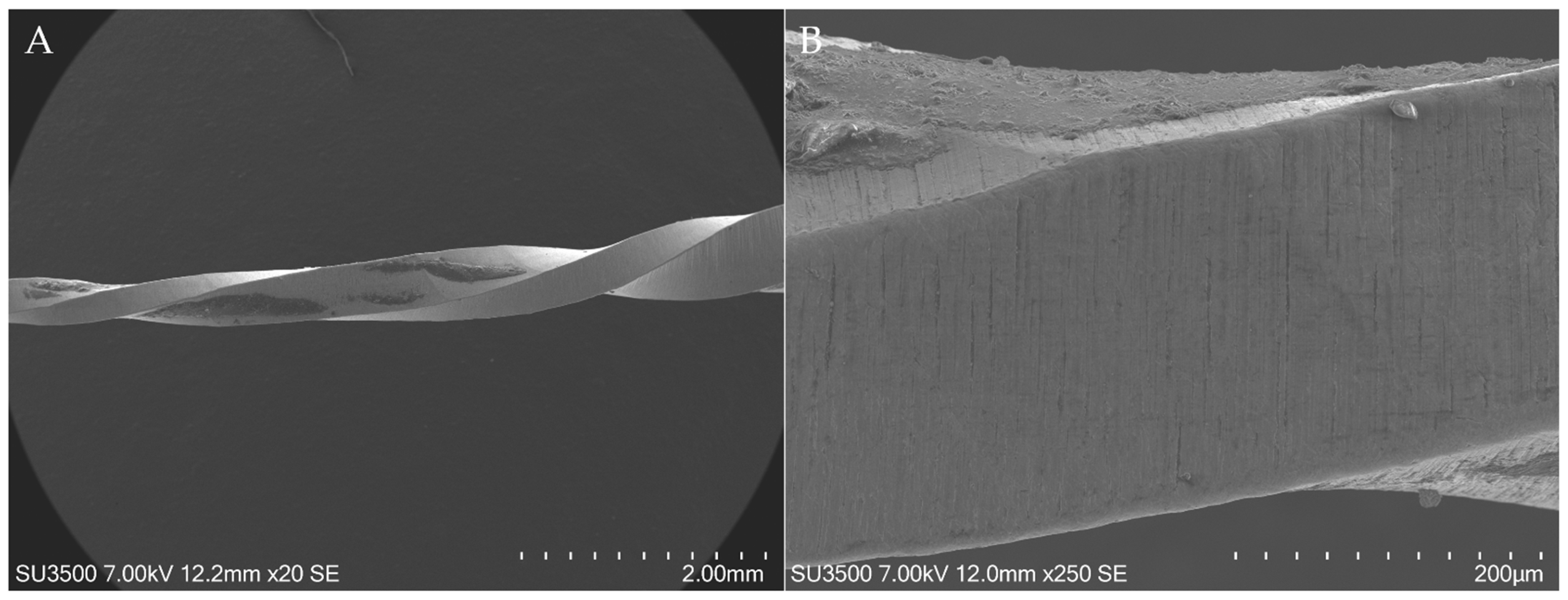 Applsci 12 06253 g005 550